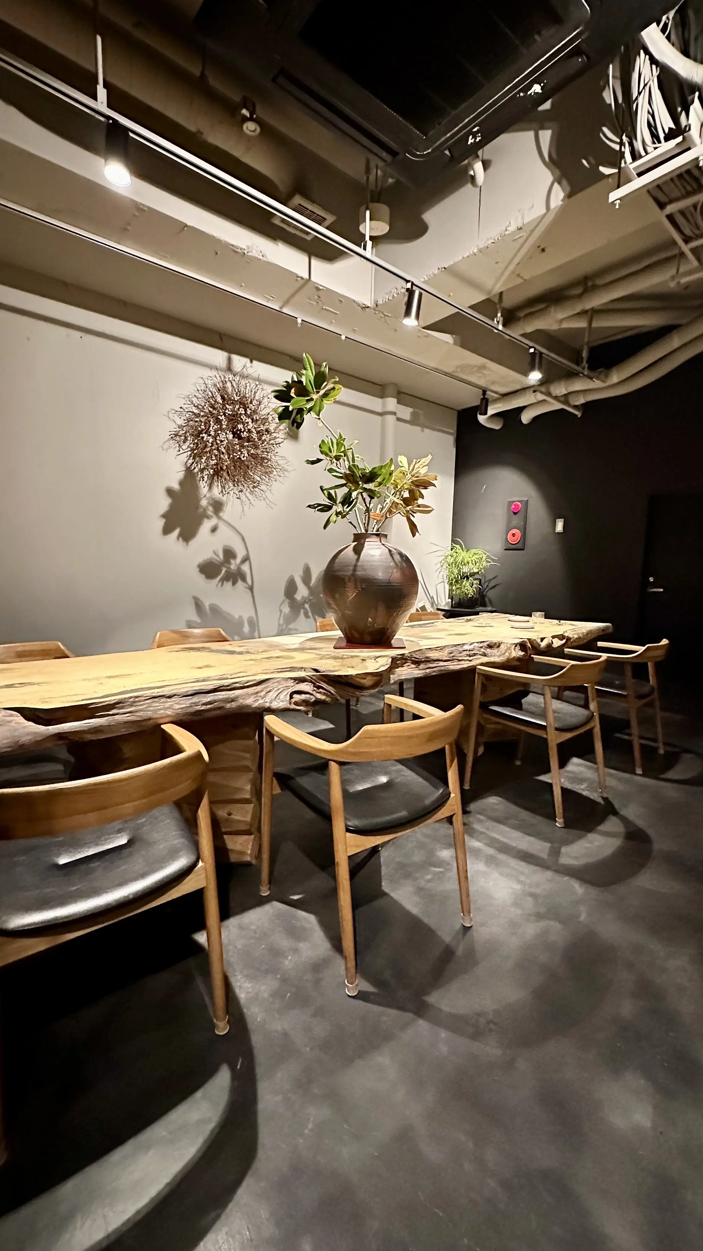 表参道の隠れ家ランチ　豊かな自然を味わうガストロノミー_1_11