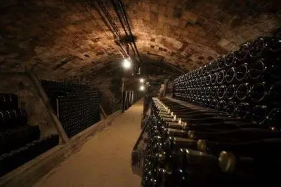 スペインの最高級スパークリングワイン “コルピナット”の「ナダル」で涼しい夏を！【飲むんだったら、イケてるワイン／WEB特別篇】 _1_2