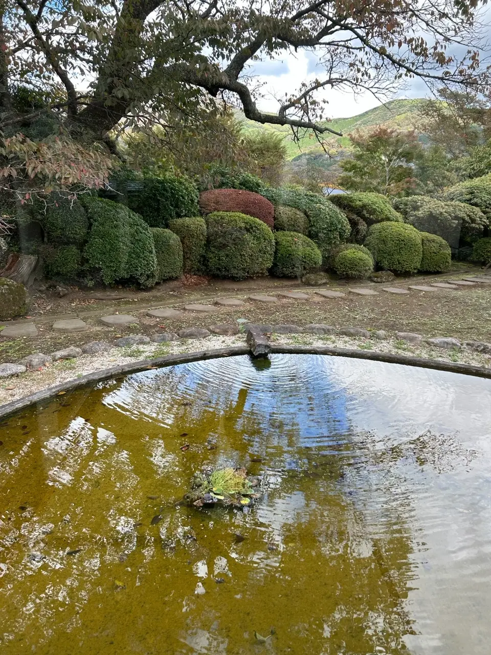 仙郷桜別邸奥の樹々　庭