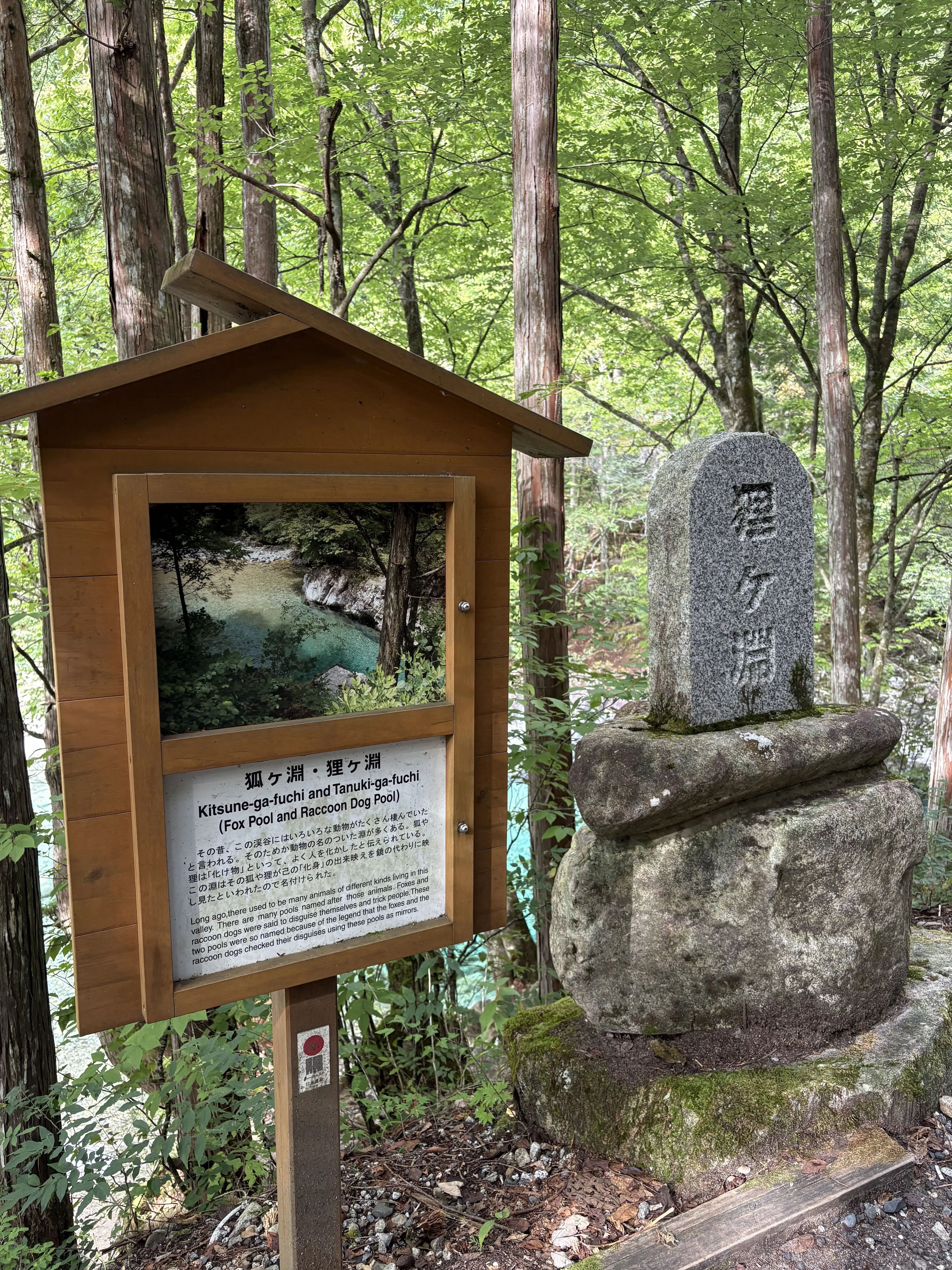 長野旅　夫婦旅　阿寺渓谷　