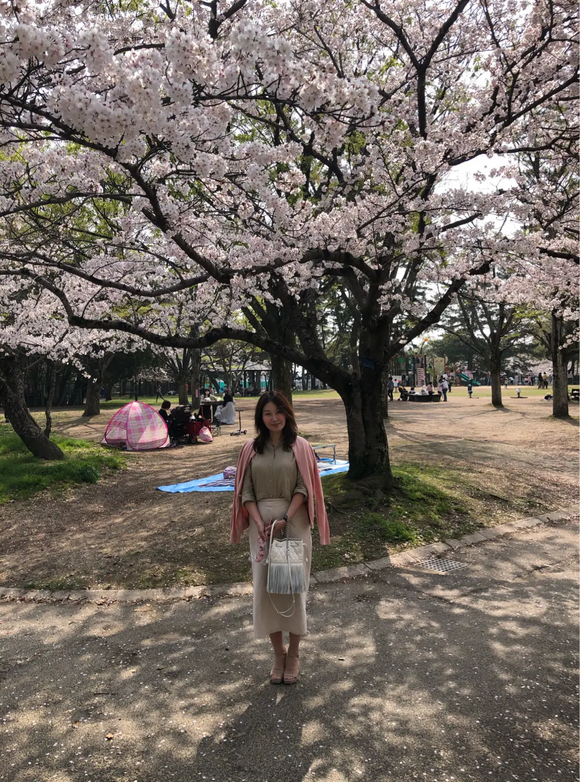 桜の木の前　女性