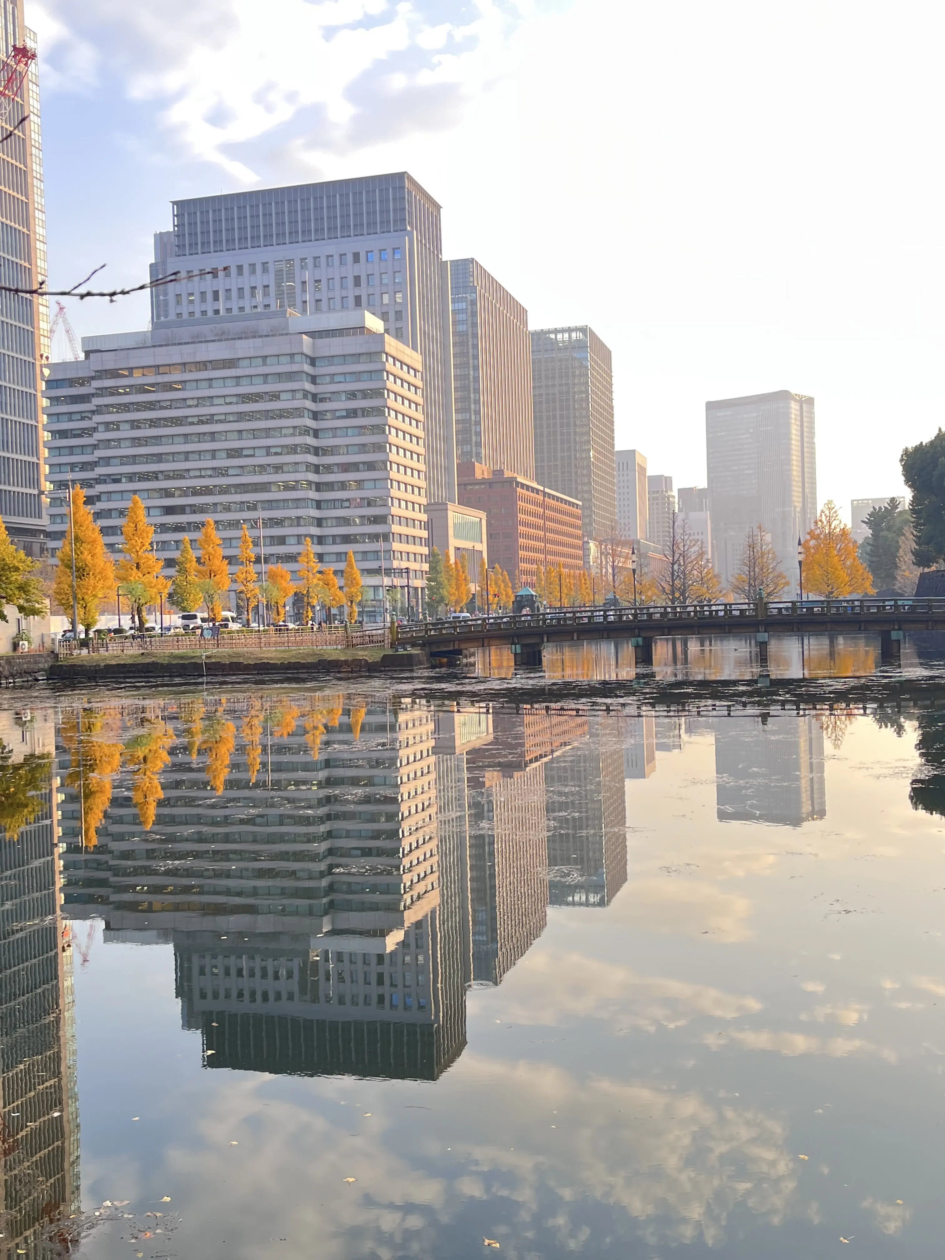 お花好きメンバーでキラキラ観賞♪日比谷〜丸の内巡り_1_14-3