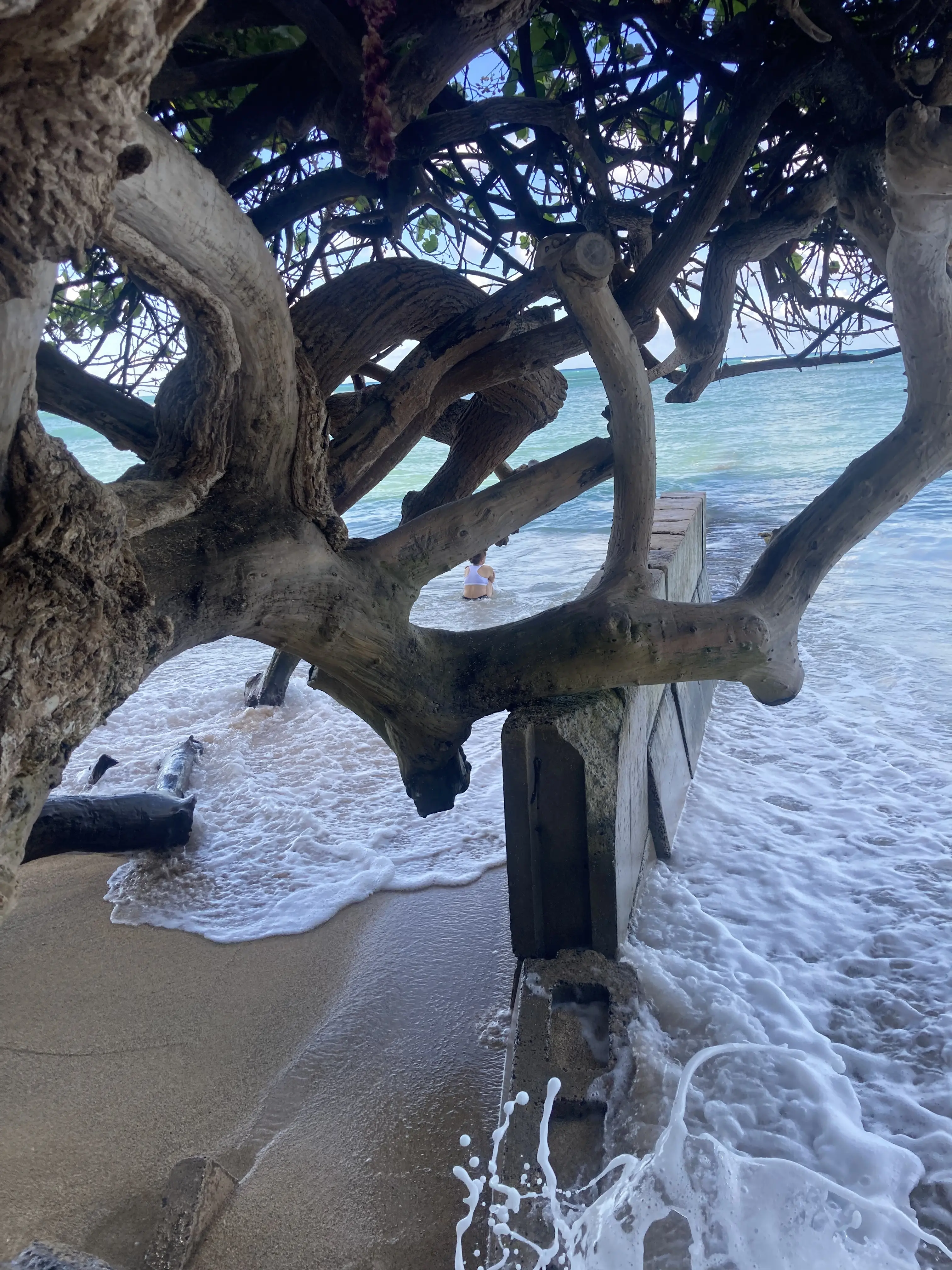 癒しの国ハワイに行ってきました。🌴①_1_8-1