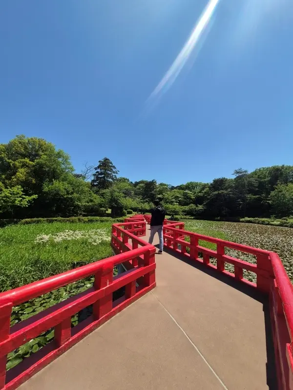 今が見ごろのバラ園と｢孤独のグルメ｣で人気♪キセキのとんかつ_1_6