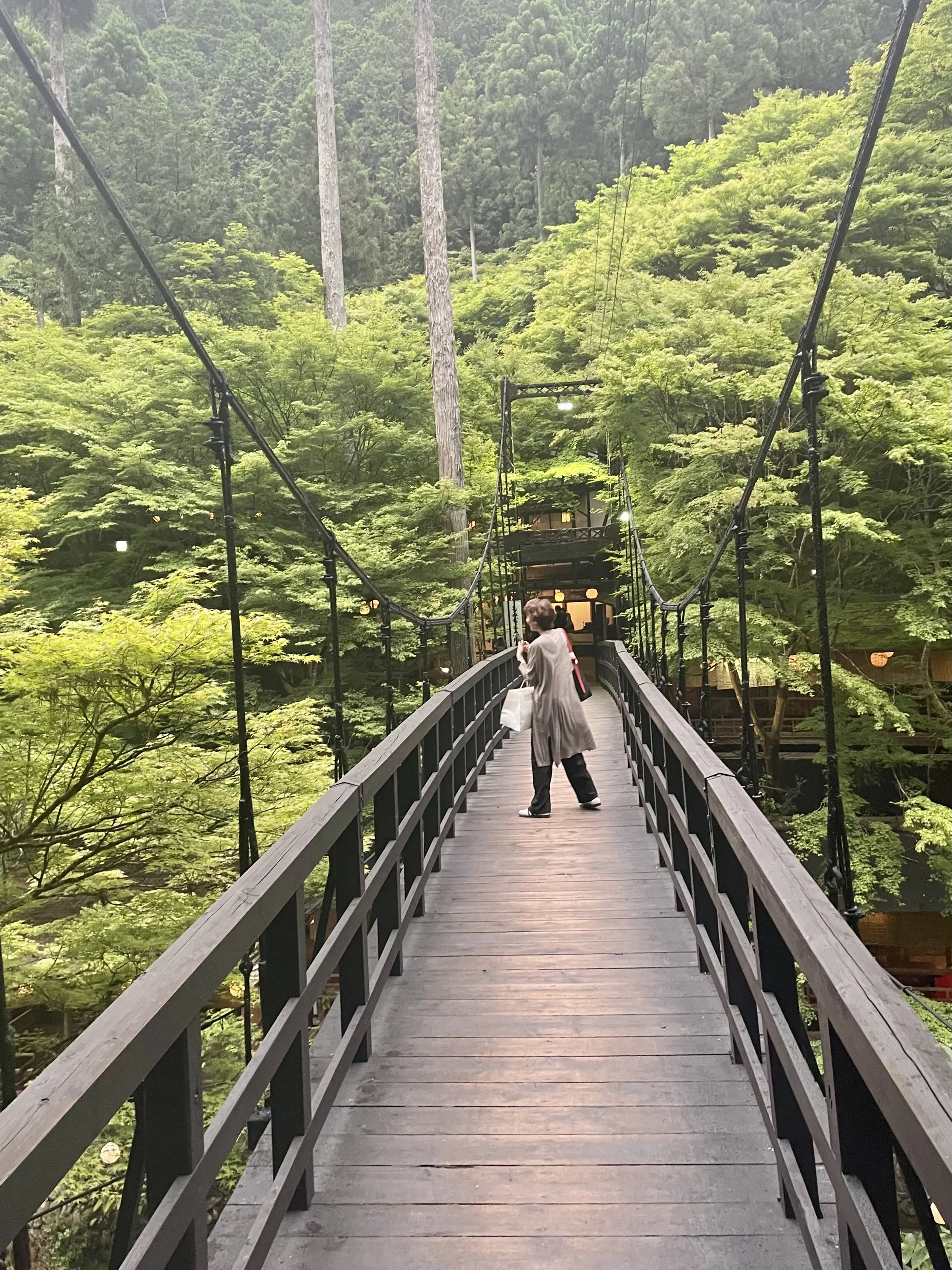 京都高雄　もみぢ家別館　川の庵