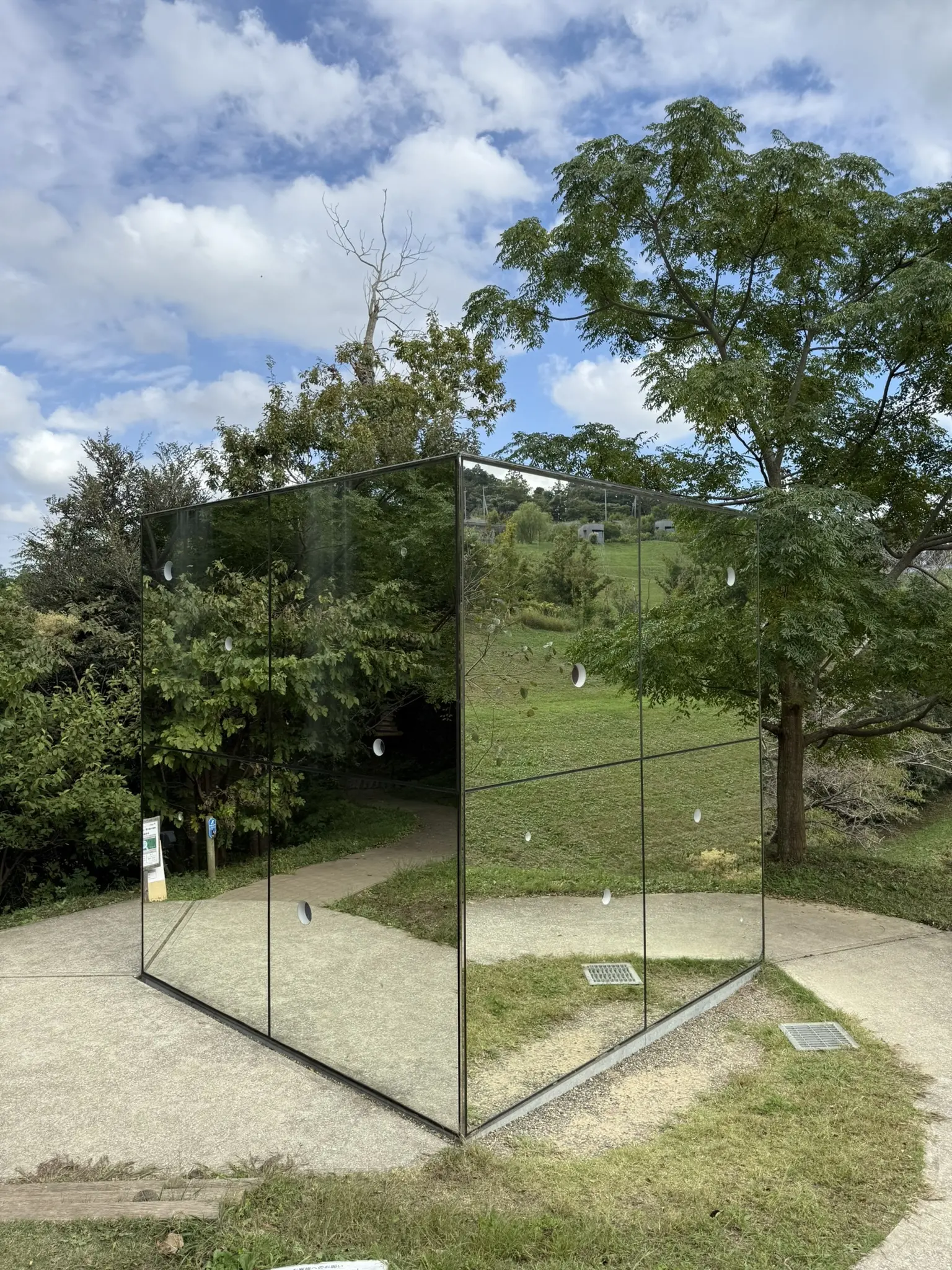 クルックフィールズ 草間彌生