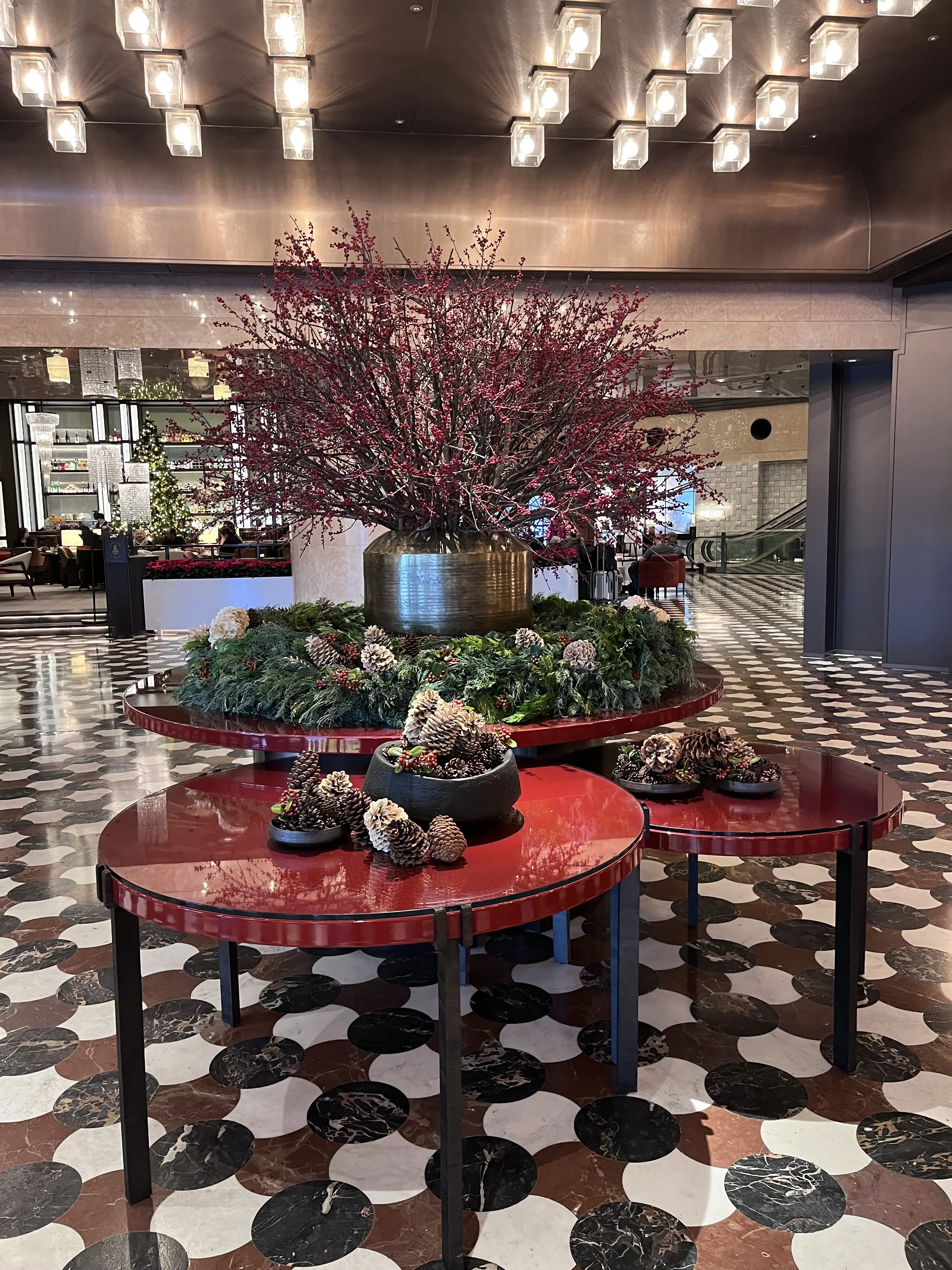 続・続・Jマダムメンバーとキラキラ観賞☆⭐︎☆_1_6