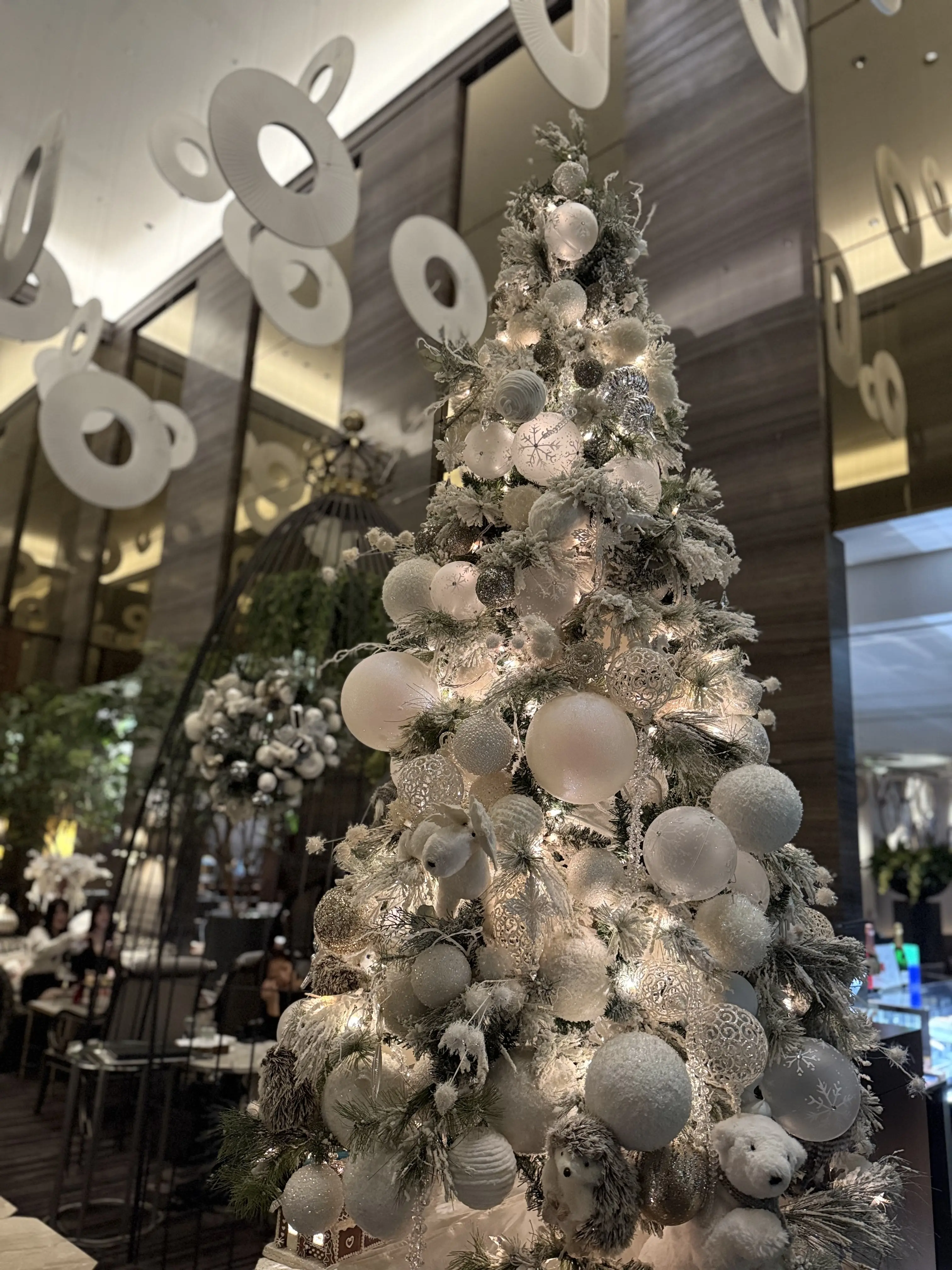 ブラックコーデで、【ソワレ・ドゥ・エクラ】へ_1_4