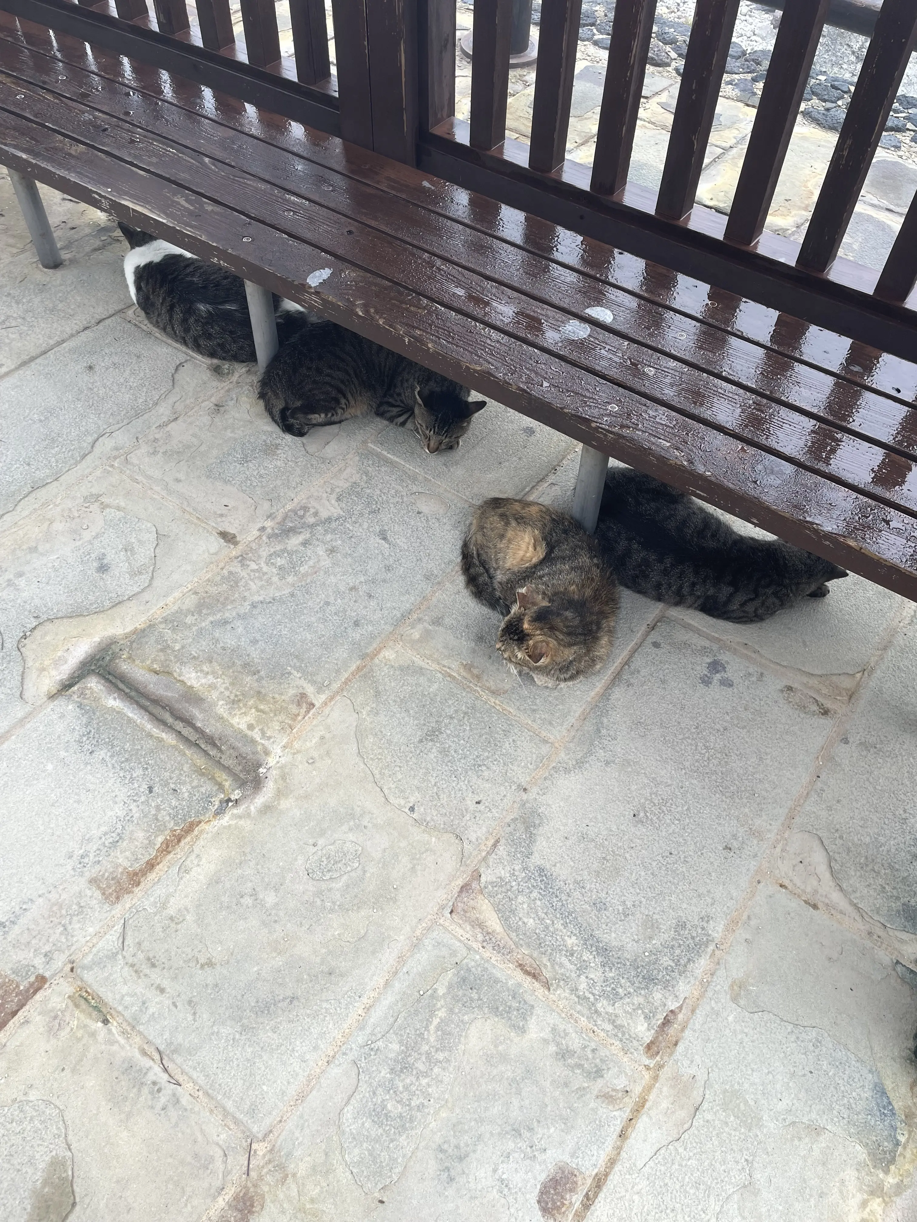 初かもめに乗って長崎へ、そして雲仙地獄巡りをしてきました_1_22