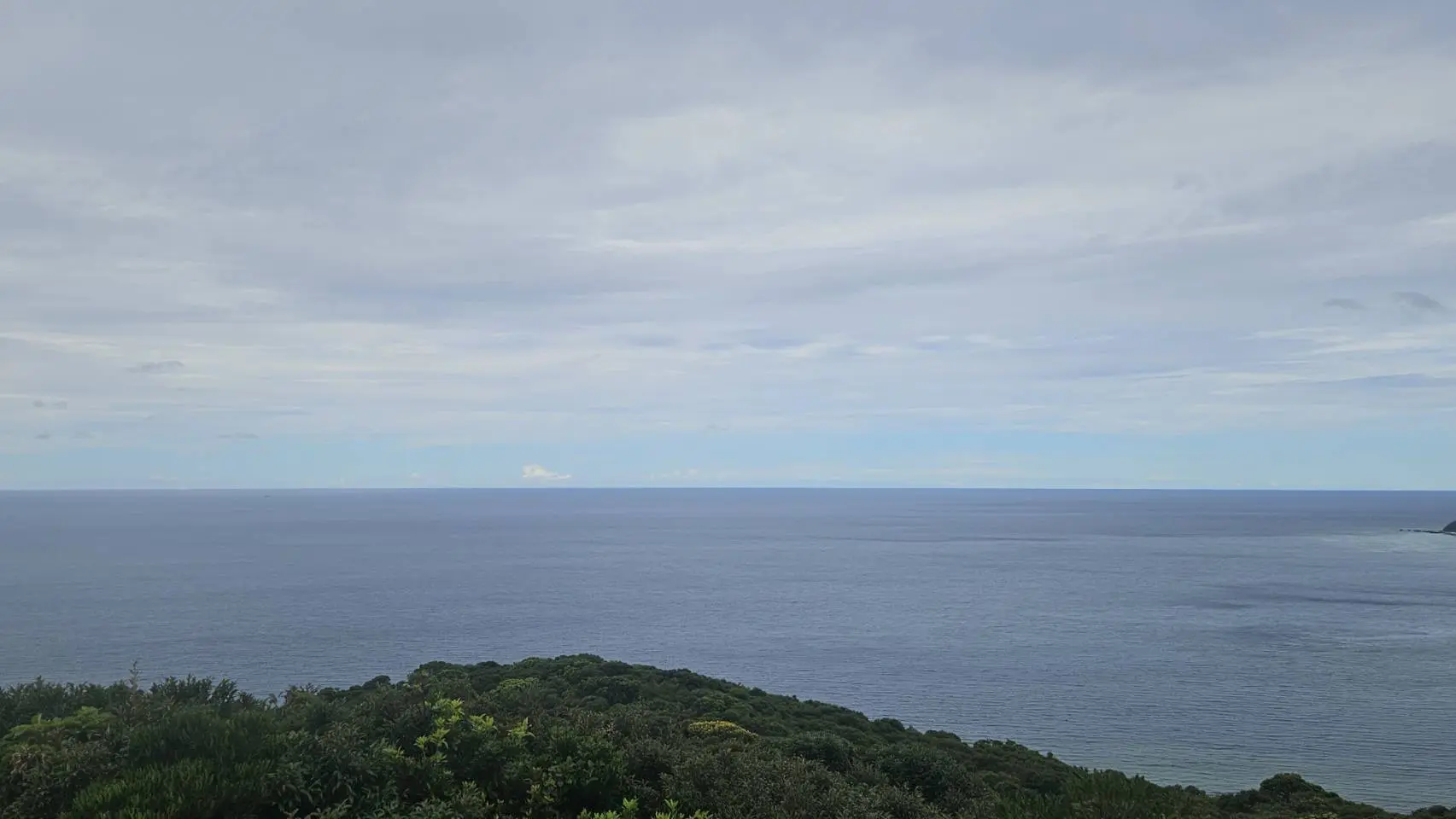 海
