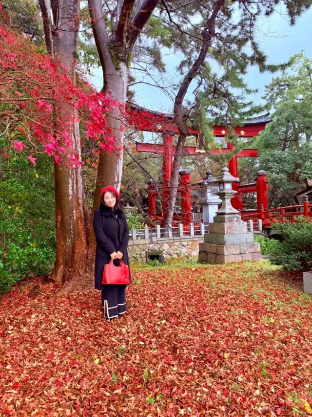 「日本海さかな街」を大満喫！_1_12