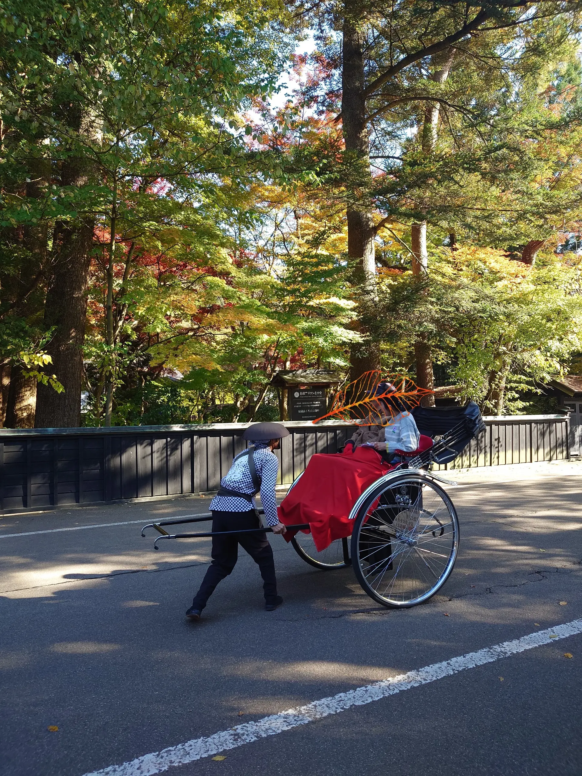 武家屋敷通りの人力車