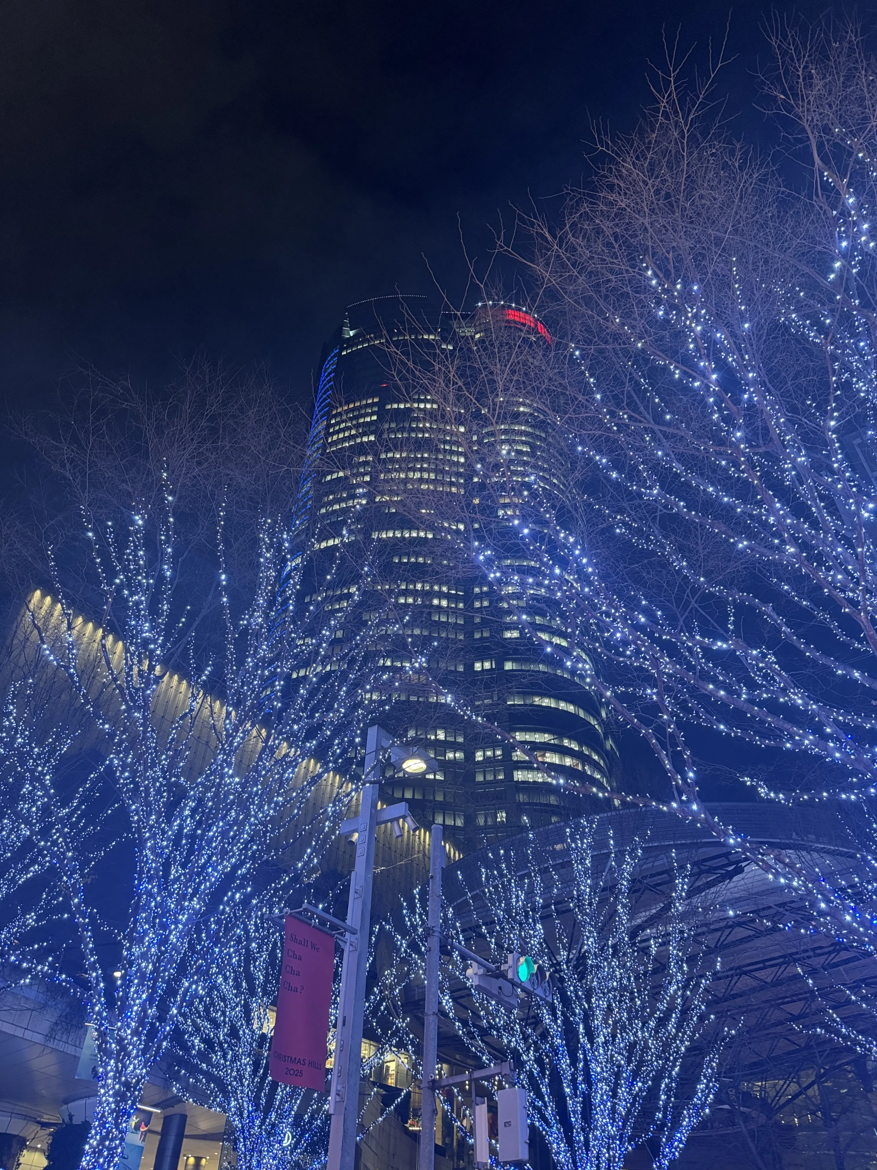 この冬見たい、心に残る東京イルミネーション3選_1_3