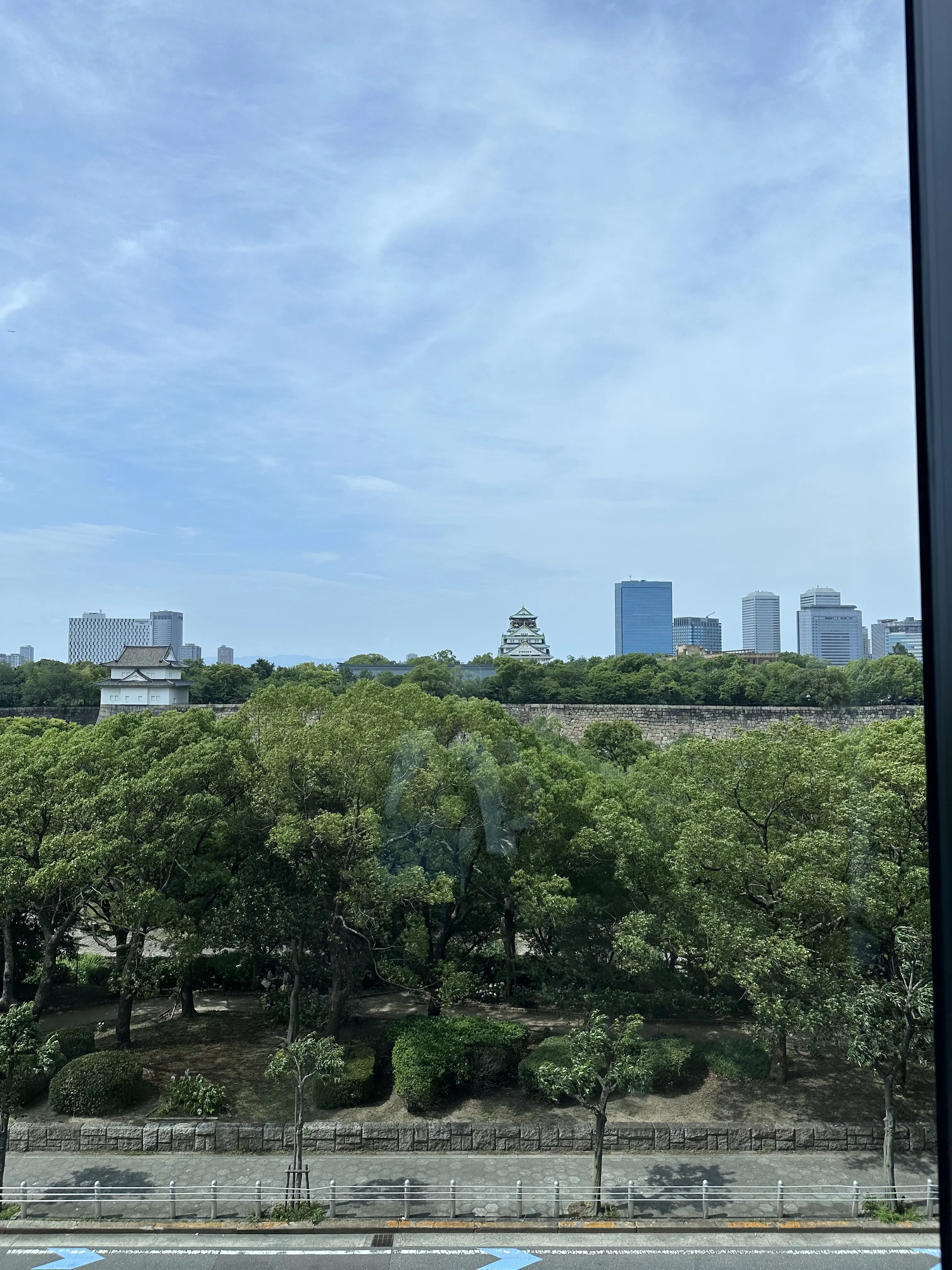 今年新しく出来たホテルPATINAで華組　法村麻起子さんとランチ_1_9