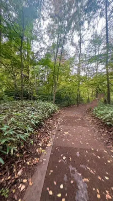 ケラ池スケートリンクへとつながる道