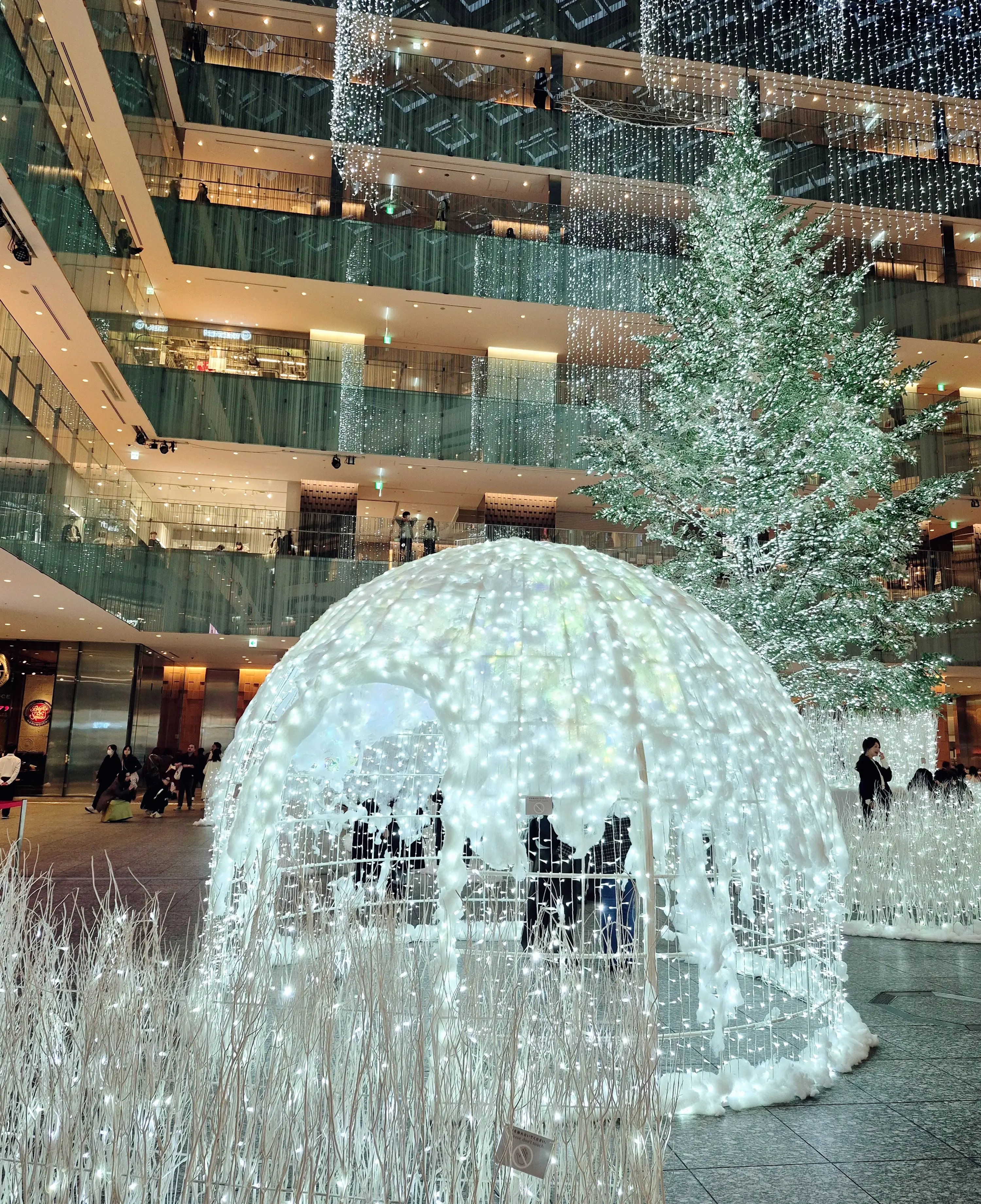 都内で見られるクリスマスツリーまとめ_1_17