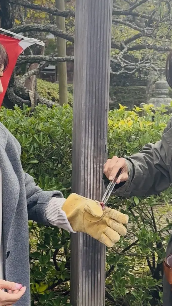 【秋の仙台旅行】「宮島」と「瑞巌寺」で鷹匠🦅にチャレンジ_1_11-1
