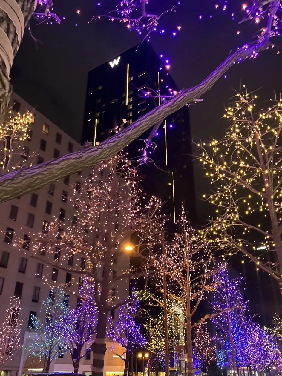 イルミネーションが煌びやかな御堂筋✨「W大阪」へ✨_1_2-2