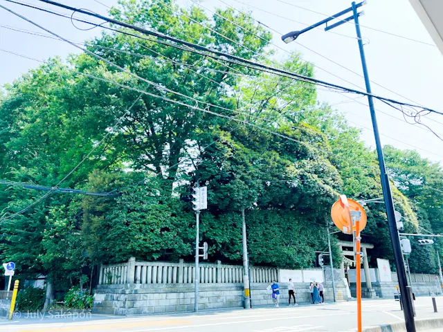 【さかぽんの冒険】風鈴の音と風に癒されて❤️@川越氷川神社_1_3