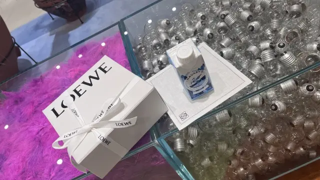 ロエベの気になるスモールウォレット_1_9