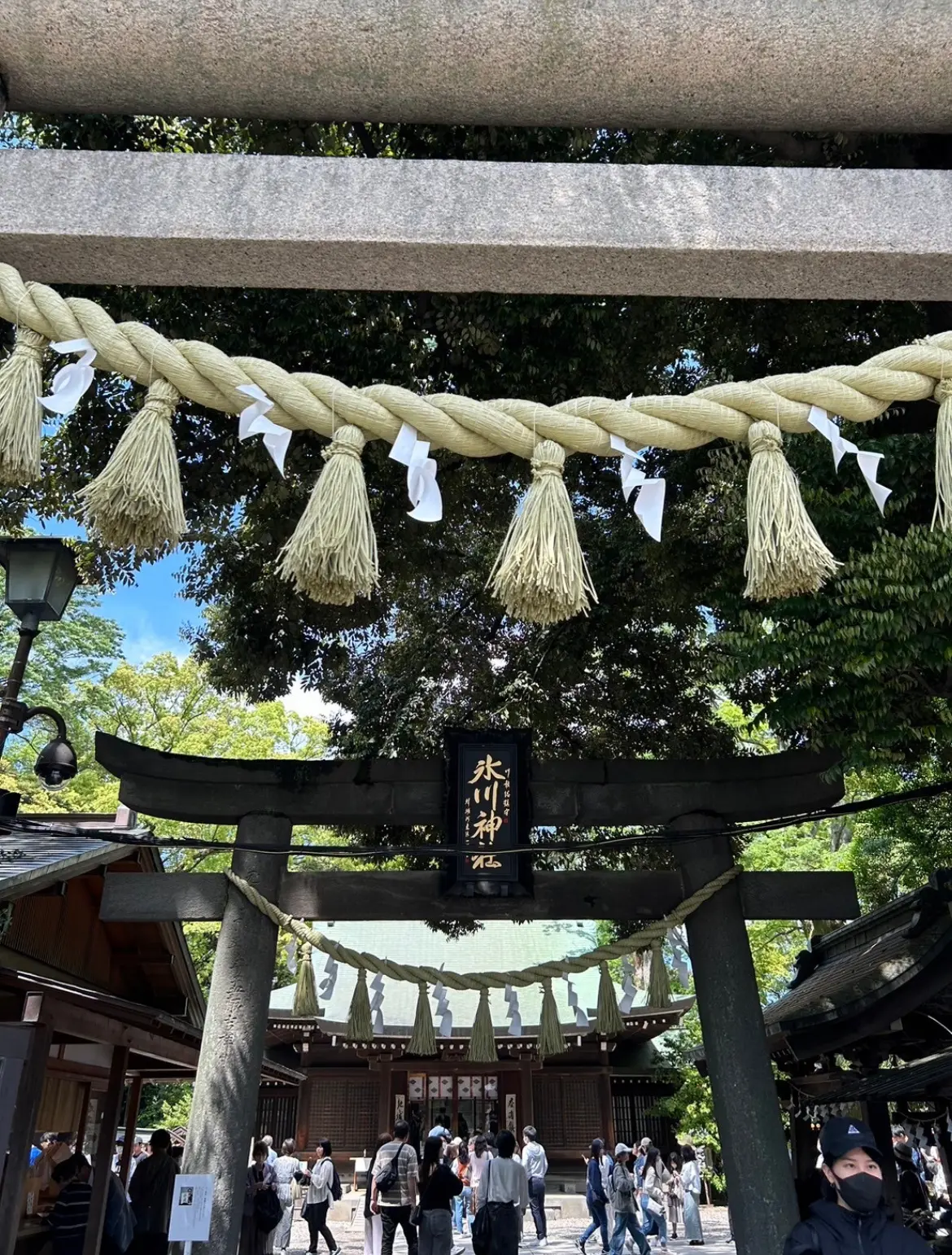 氷川神社