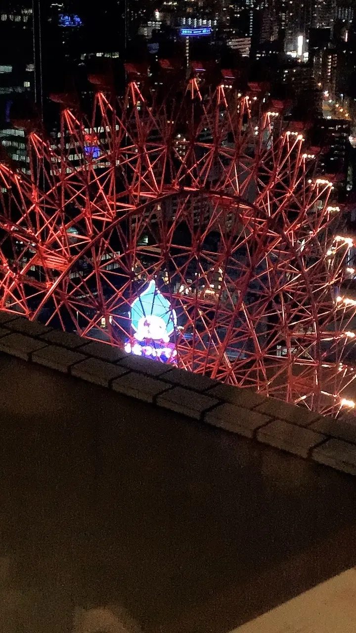 大阪夜景＆久しぶり友達とワイワイ美味しいもの_1_6