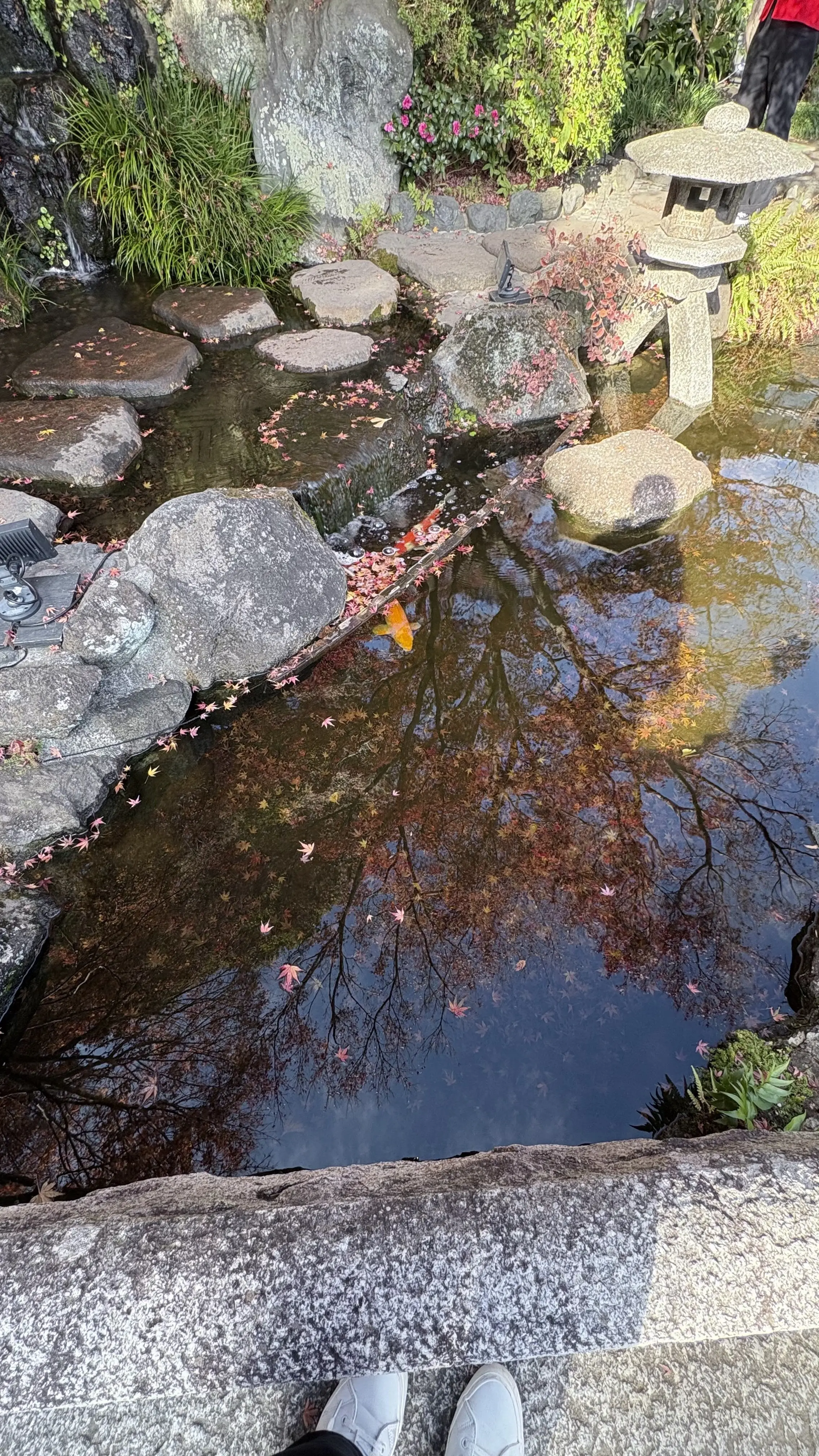 50代GUユニクロコーデ＠鎌倉ソロ活動_1_10