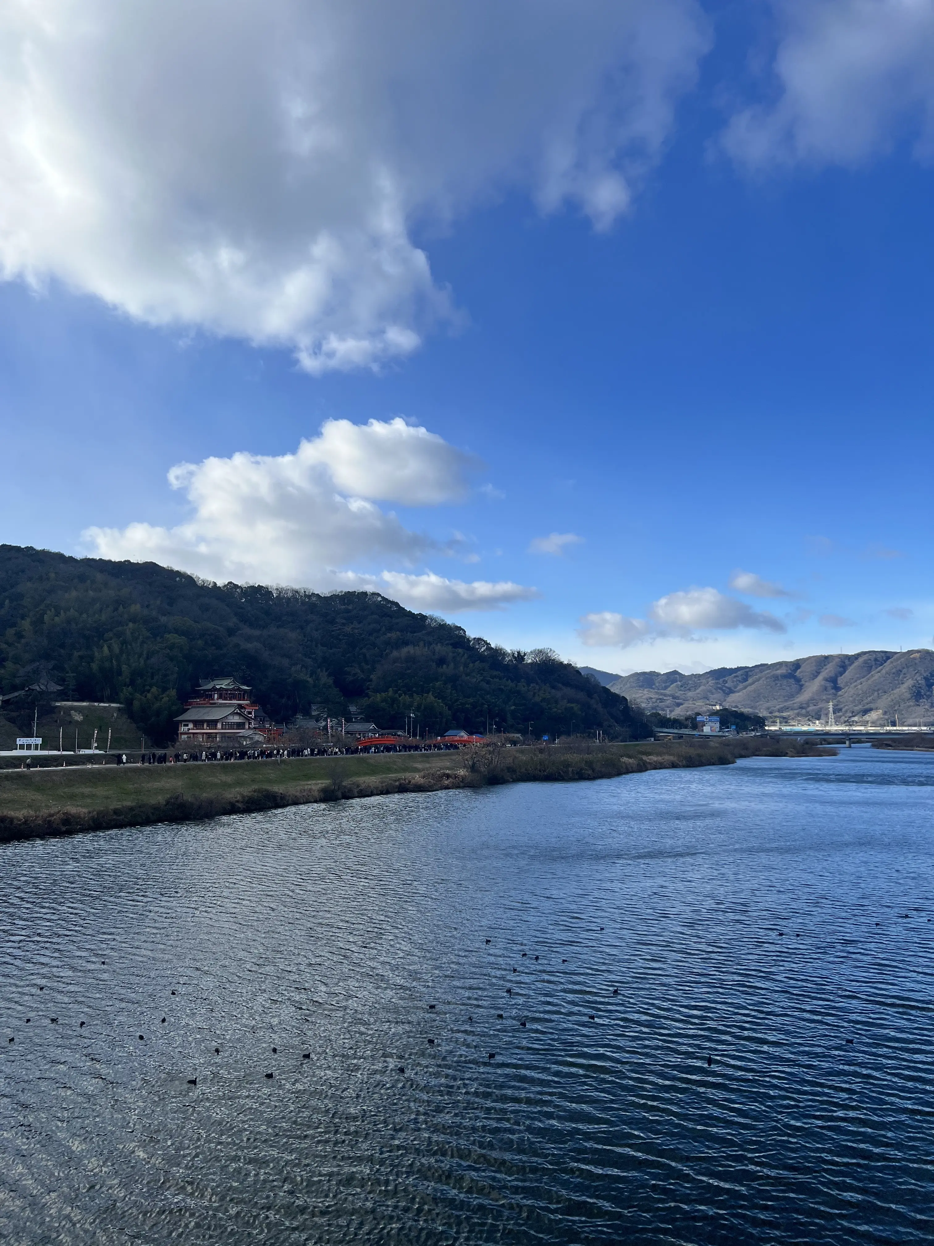 2026年も健康第一、私らしいお正月_1_1-1