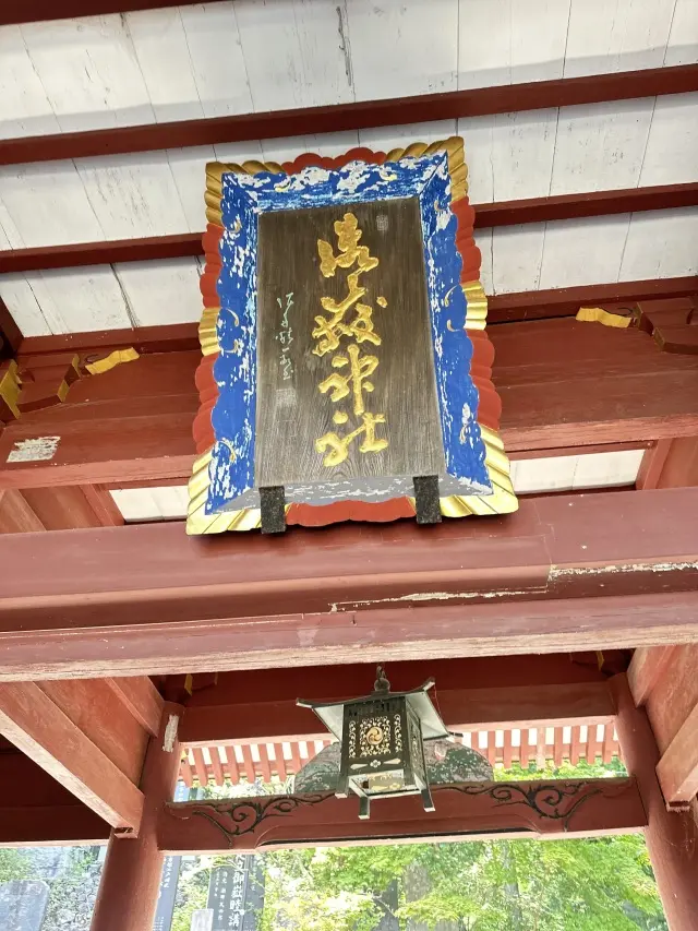 奥多摩プチトリップ_1_12