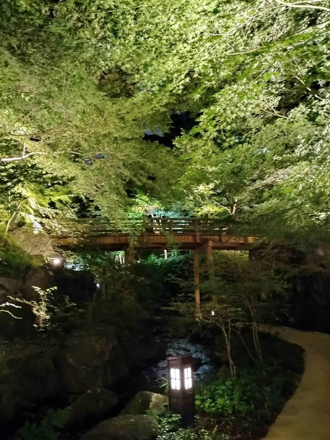 名古屋「徳川園」夕涼みライトアップ