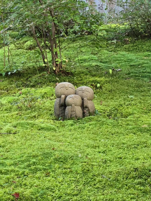 秋の京都ひとり旅・中編 ～瑠璃光院から詩仙堂へ〜わずかな時間も特別な京都の午後_1_17