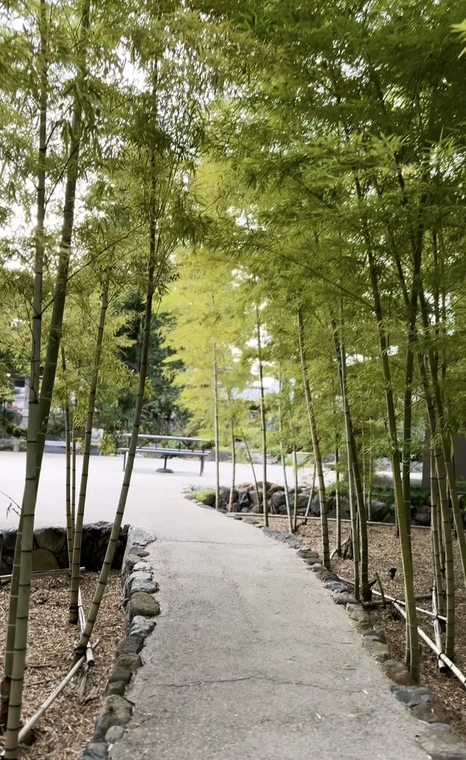 【大人の贅沢時間】見つけた理想空間でゆったりおひとりさまティータイム_1_2