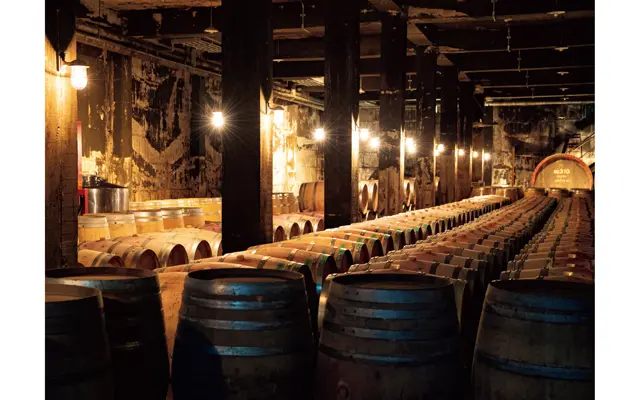 「第4貯蔵庫」の内部。昨年収穫された赤ワインが眠る