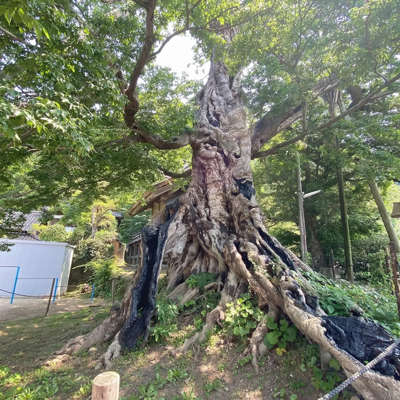 出雲国造館内