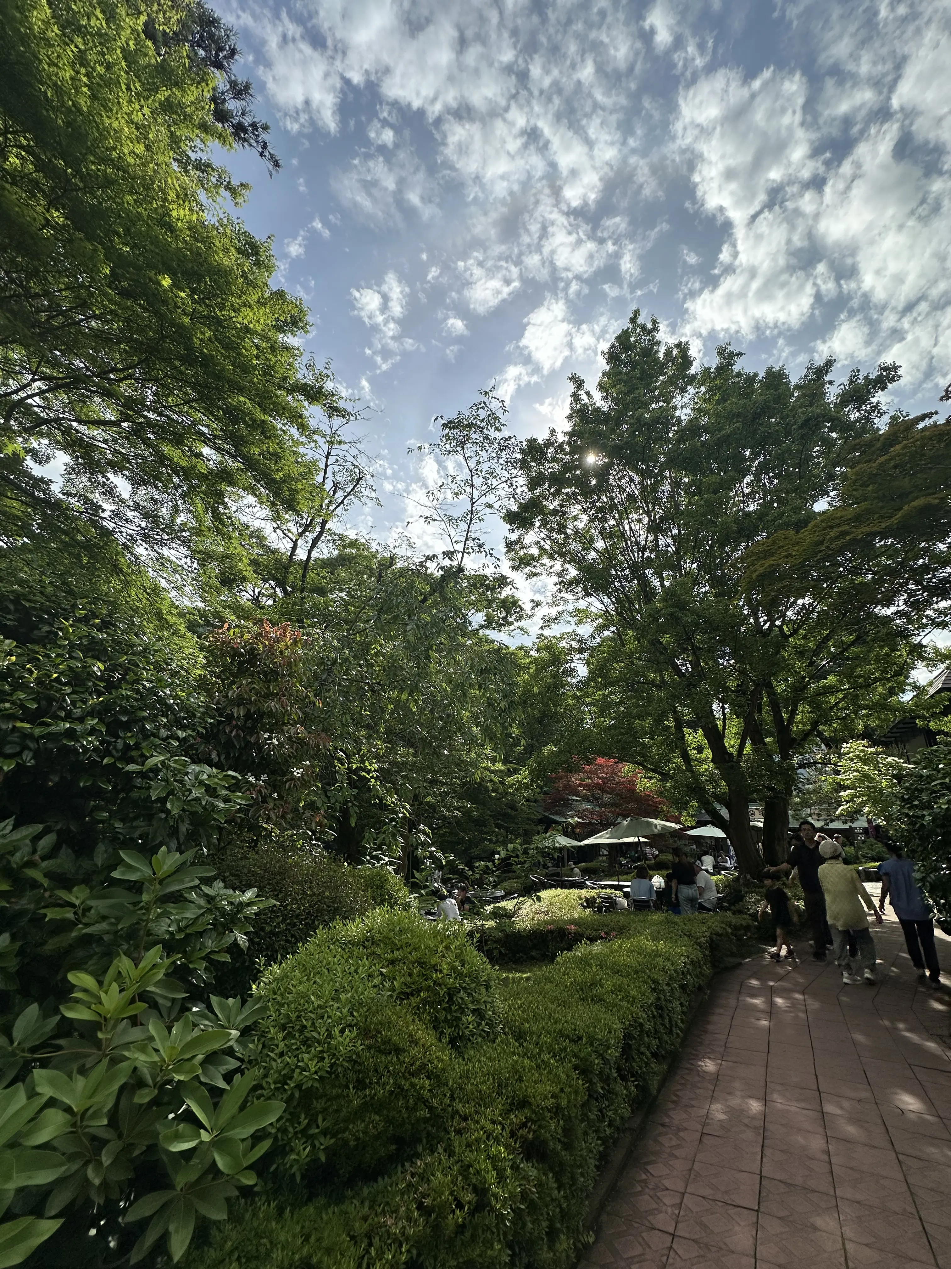 東京都が誇る青梅市の銘酒、澤乃井へ日帰りツアー_1_1