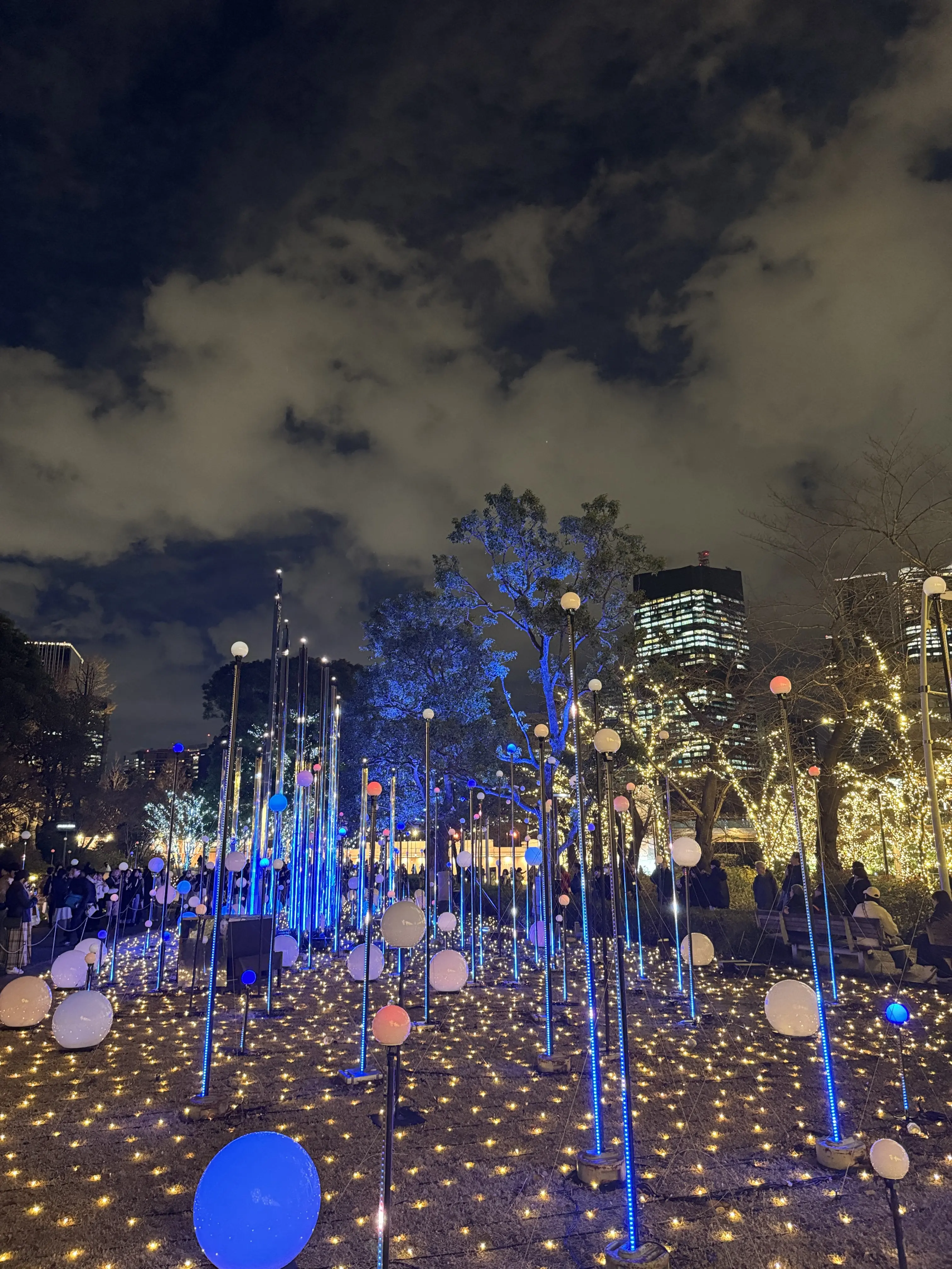 この冬見たい、心に残る東京イルミネーション3選_1_5