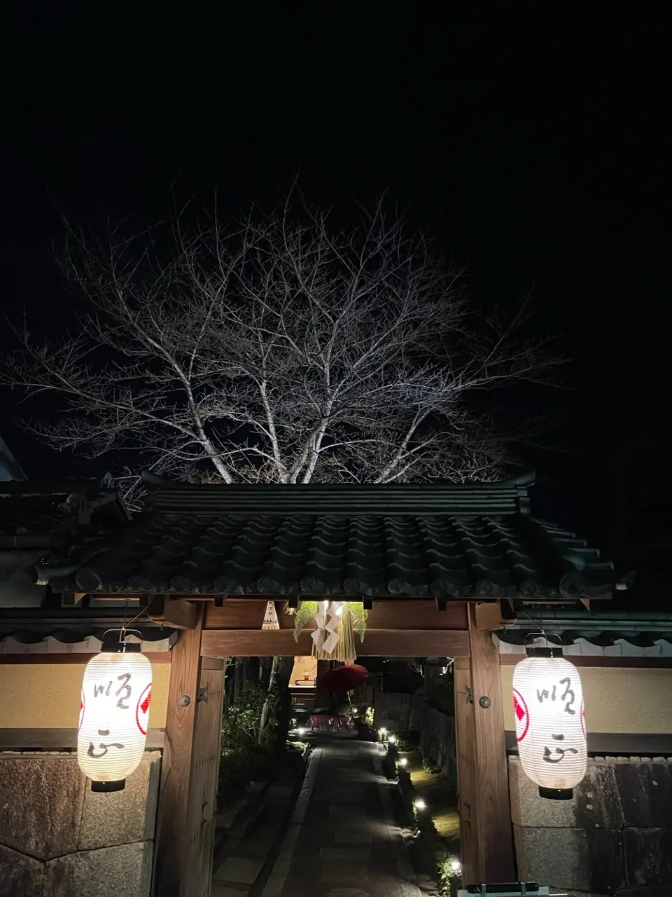 冬の京都旅⭐︎お食事編_1_3