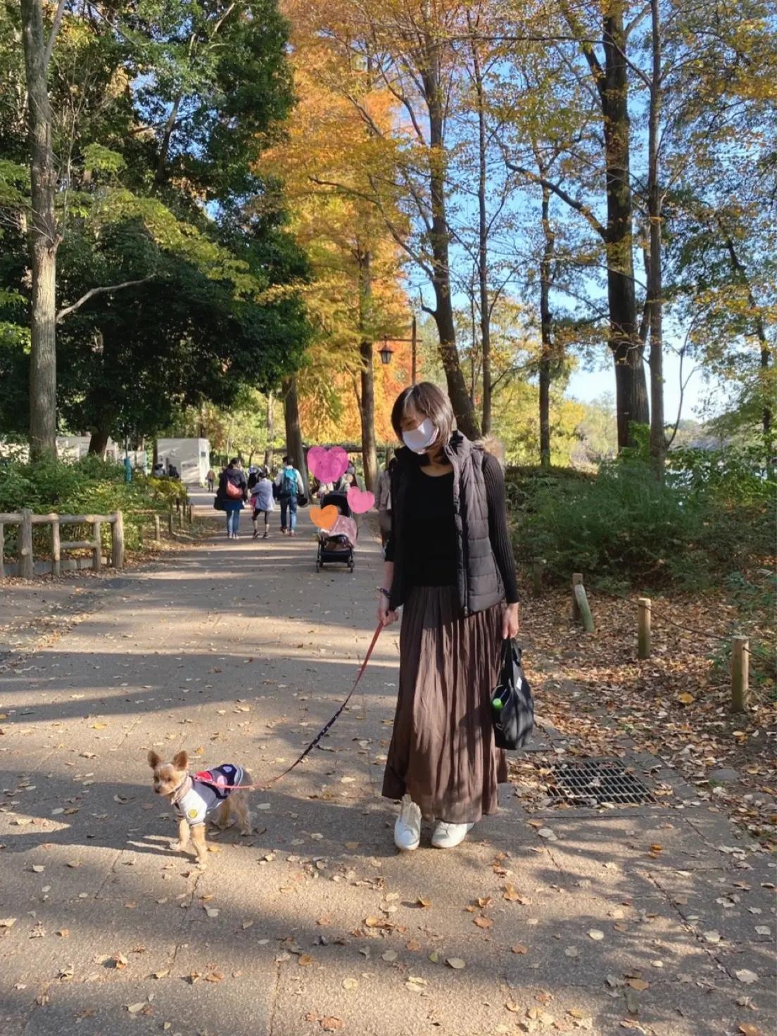 愛犬と秋のお出かけ_1_3