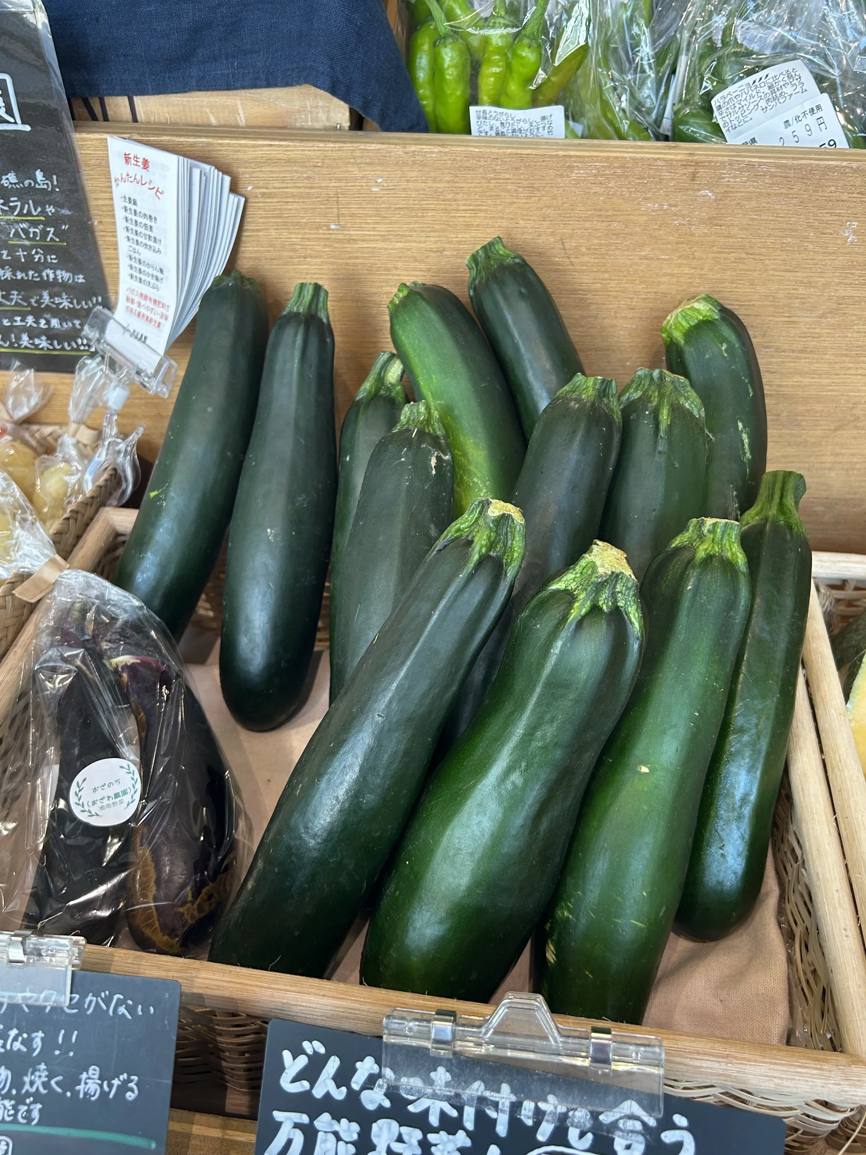 湘南 T-SITE 蔦屋書店 FOOD&COMPANY