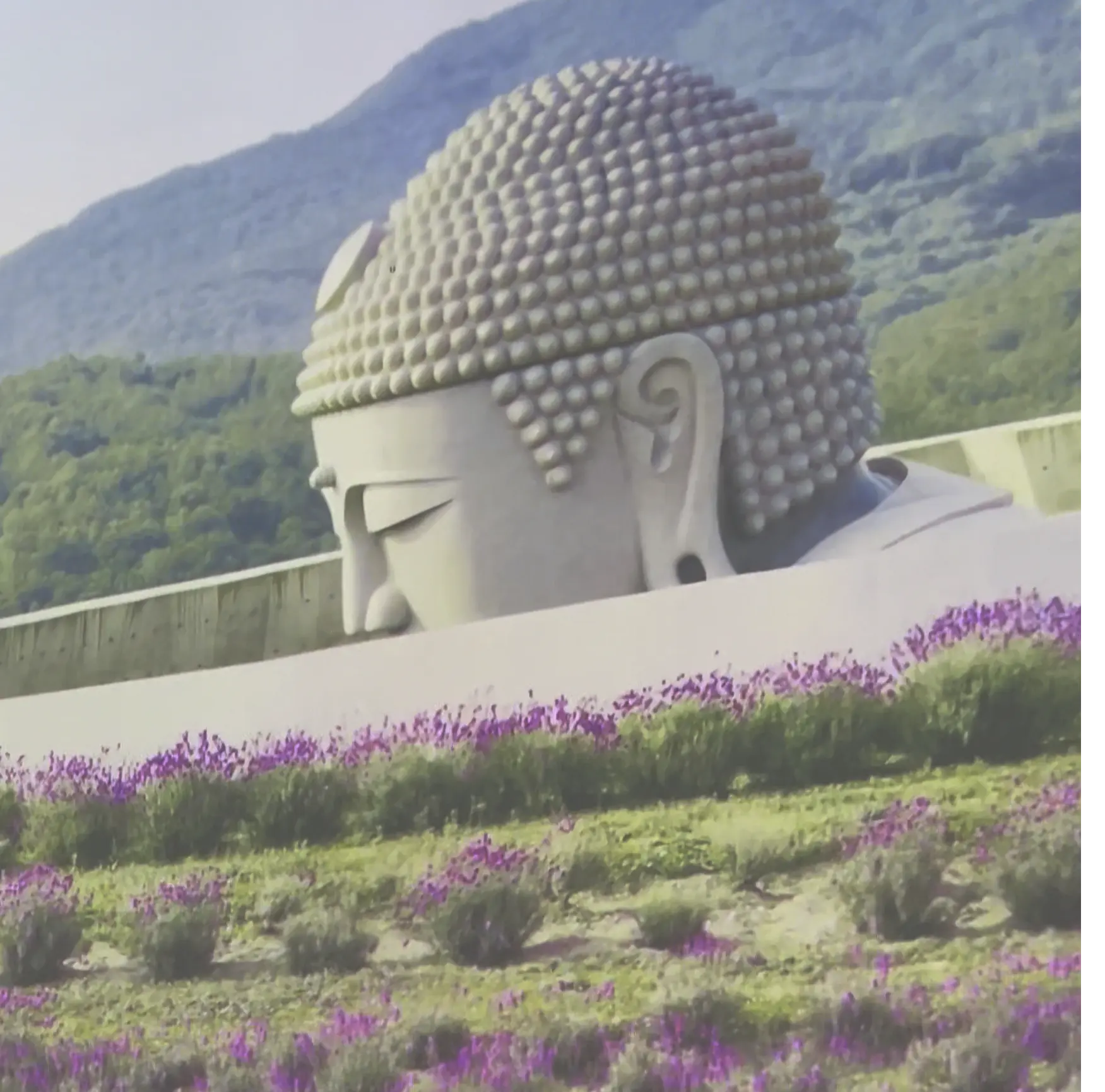 世界的建築家・安藤忠雄展に行ってきました🍏_1_8-2