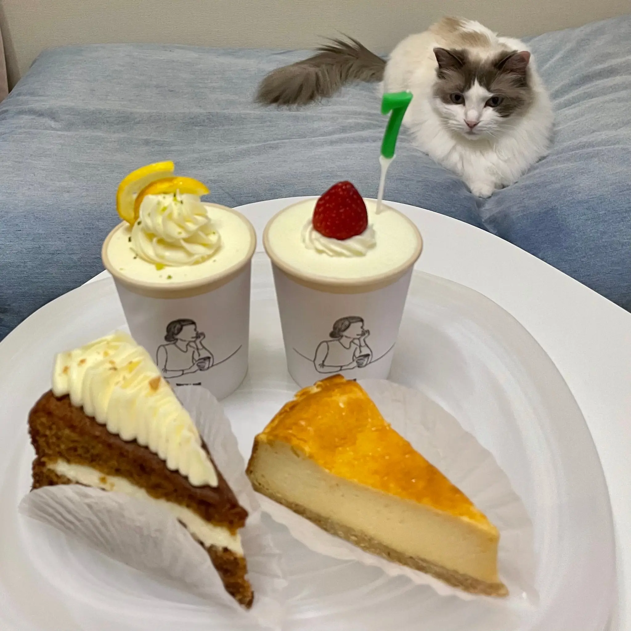 溝で寛ぐ猫とケーキ
