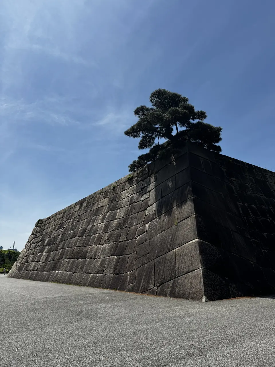 皇居東御苑 ②