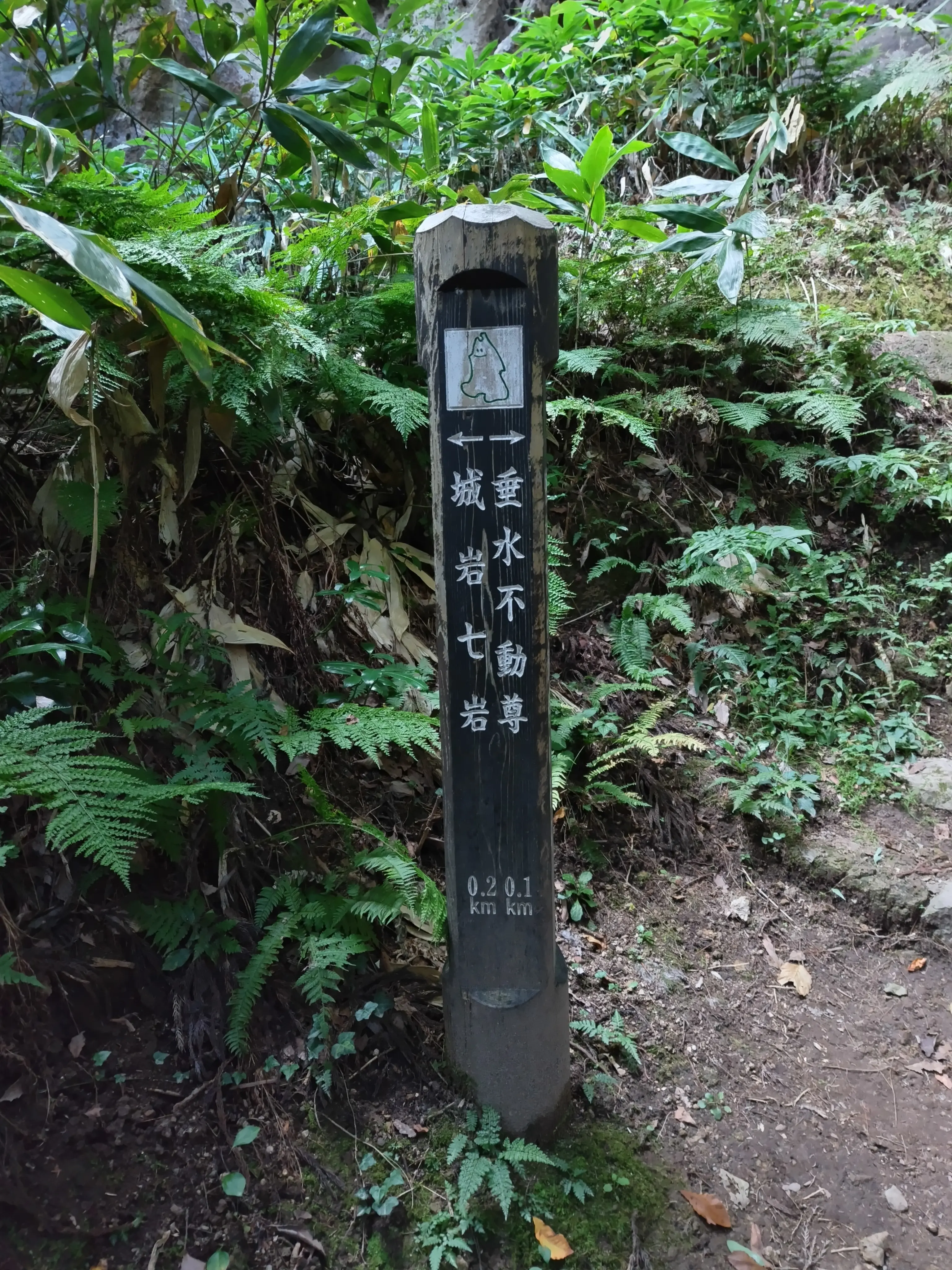 峯の浦・垂水遺跡