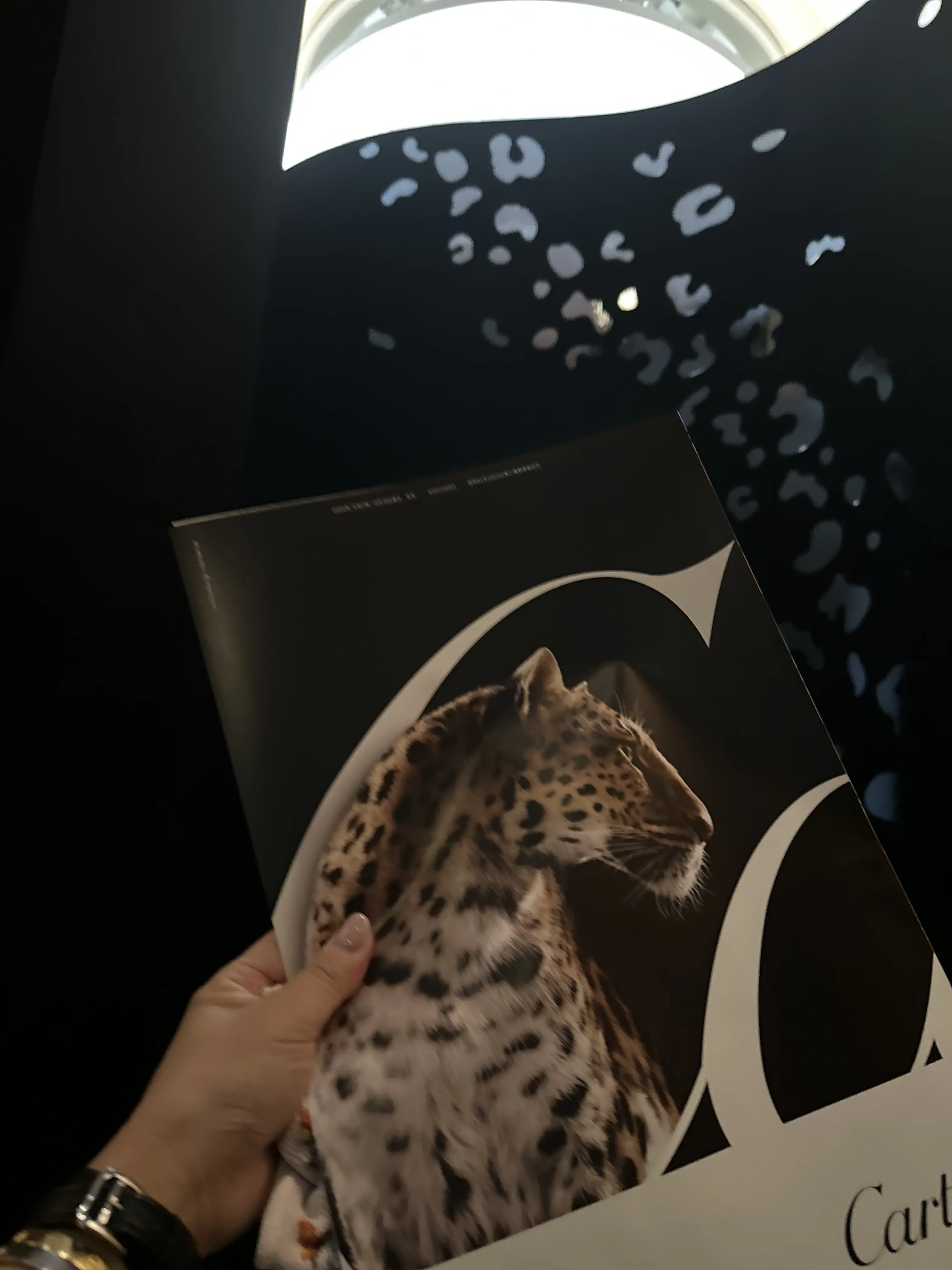 Cartier&quot;INTO TO THE WILD&quot;へ_1_1