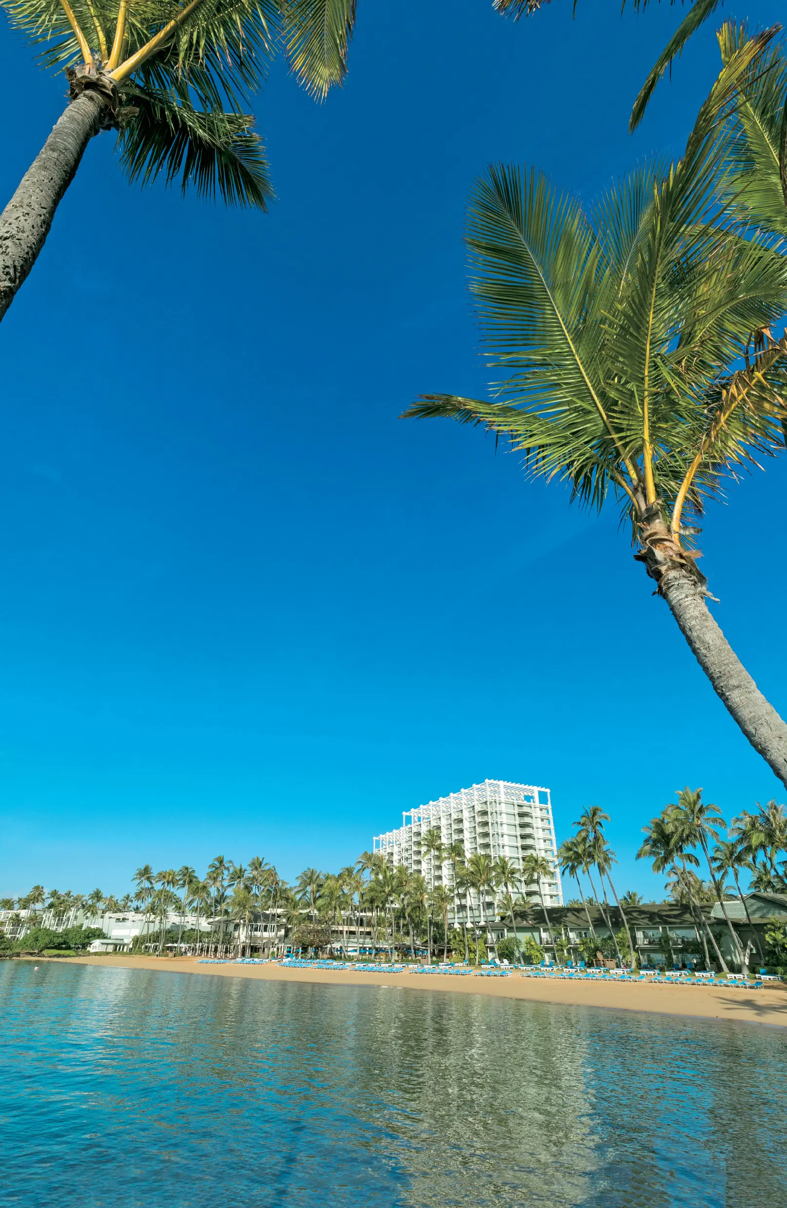 憧れの高級ハワイリゾート『ザ・カハラ』の魅力 五選 | Web eclat | 50