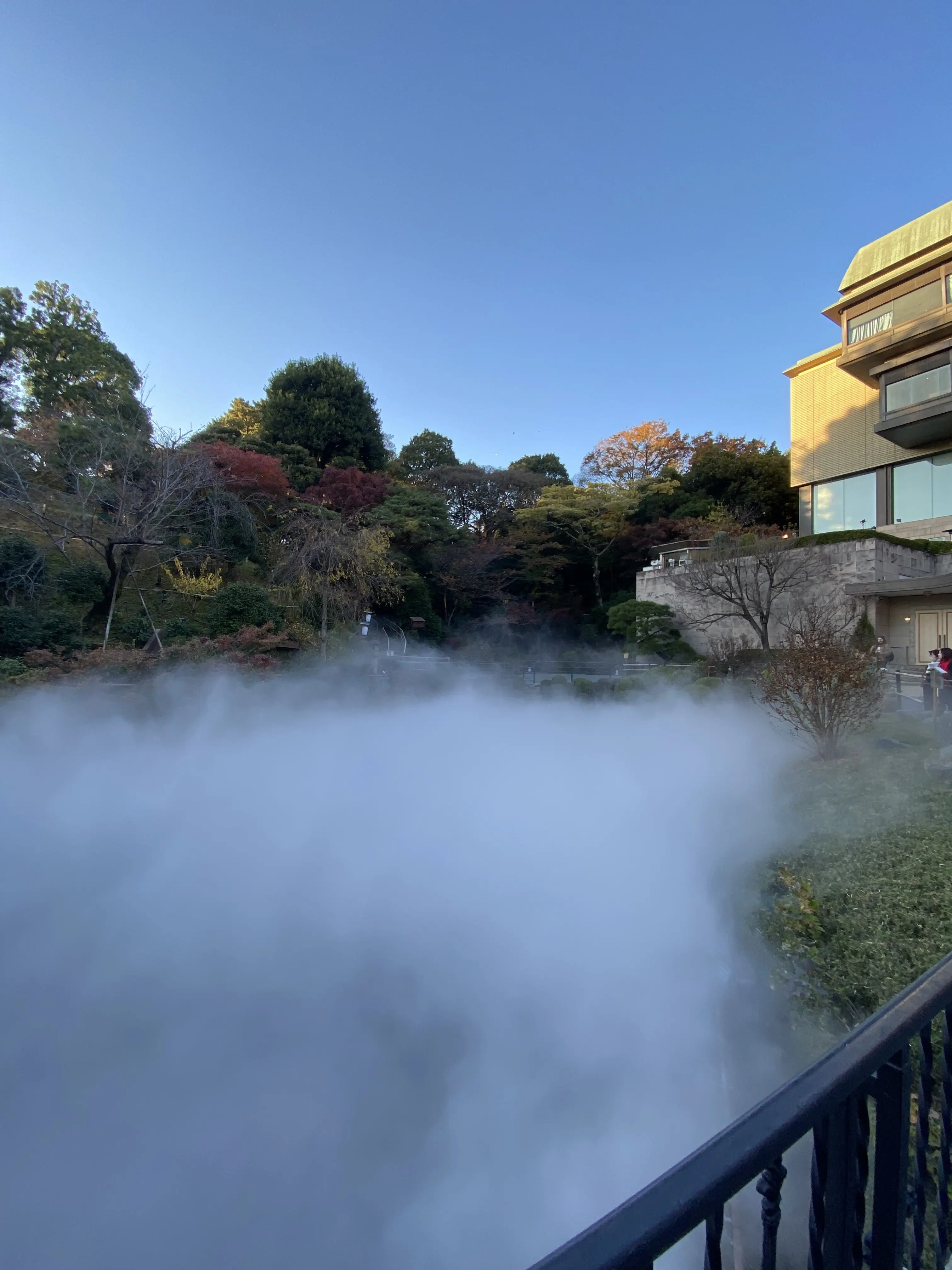 ホテル椿山荘の庭園に広がる雲海の景色。秋の紅葉と霧の演出が美しい東京の人気スポット。文京区・椿山荘の幻想的な雲海イベントの写真