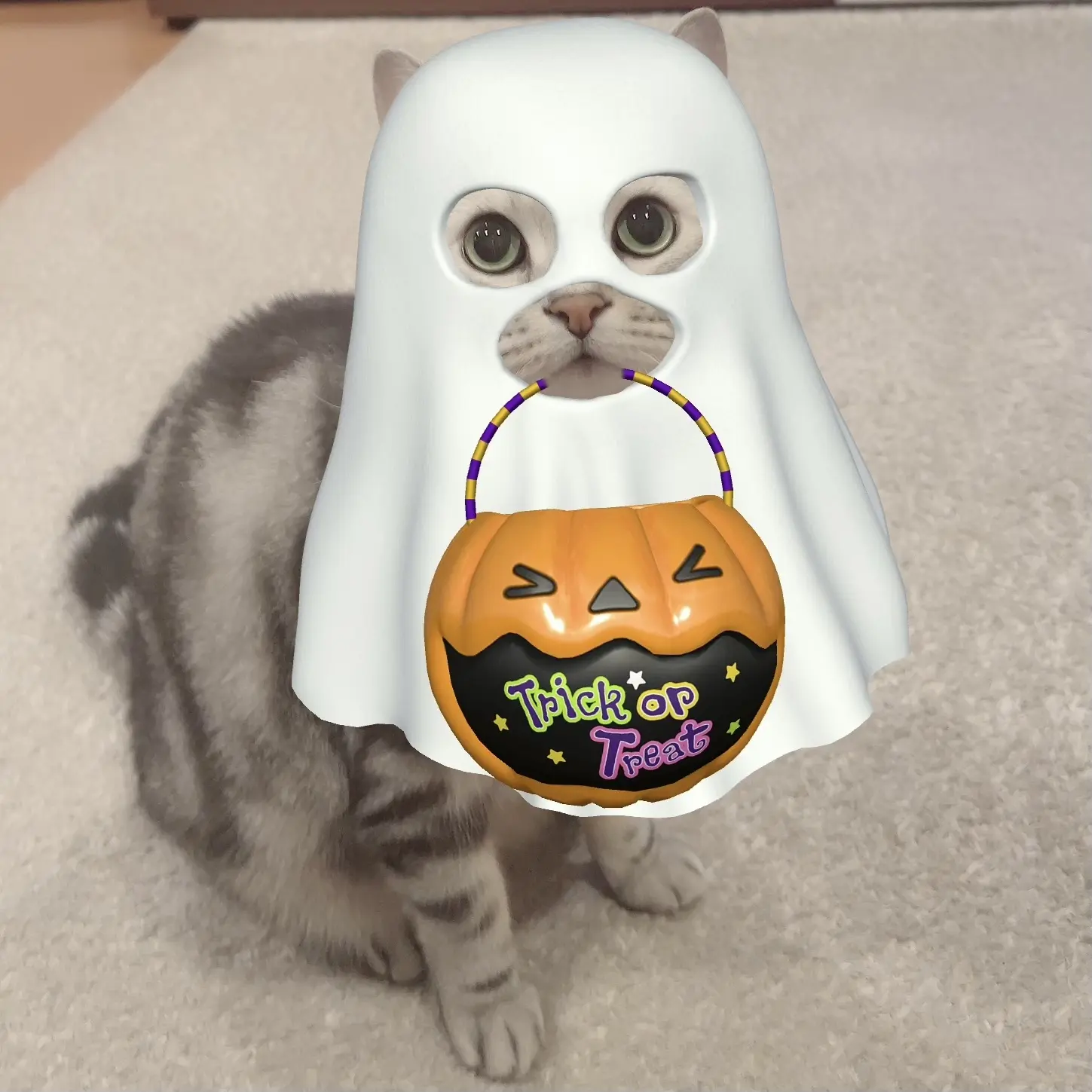 猫もハロウィン！ペットもオモチャやアプリでコスプレ！ | Web eclat