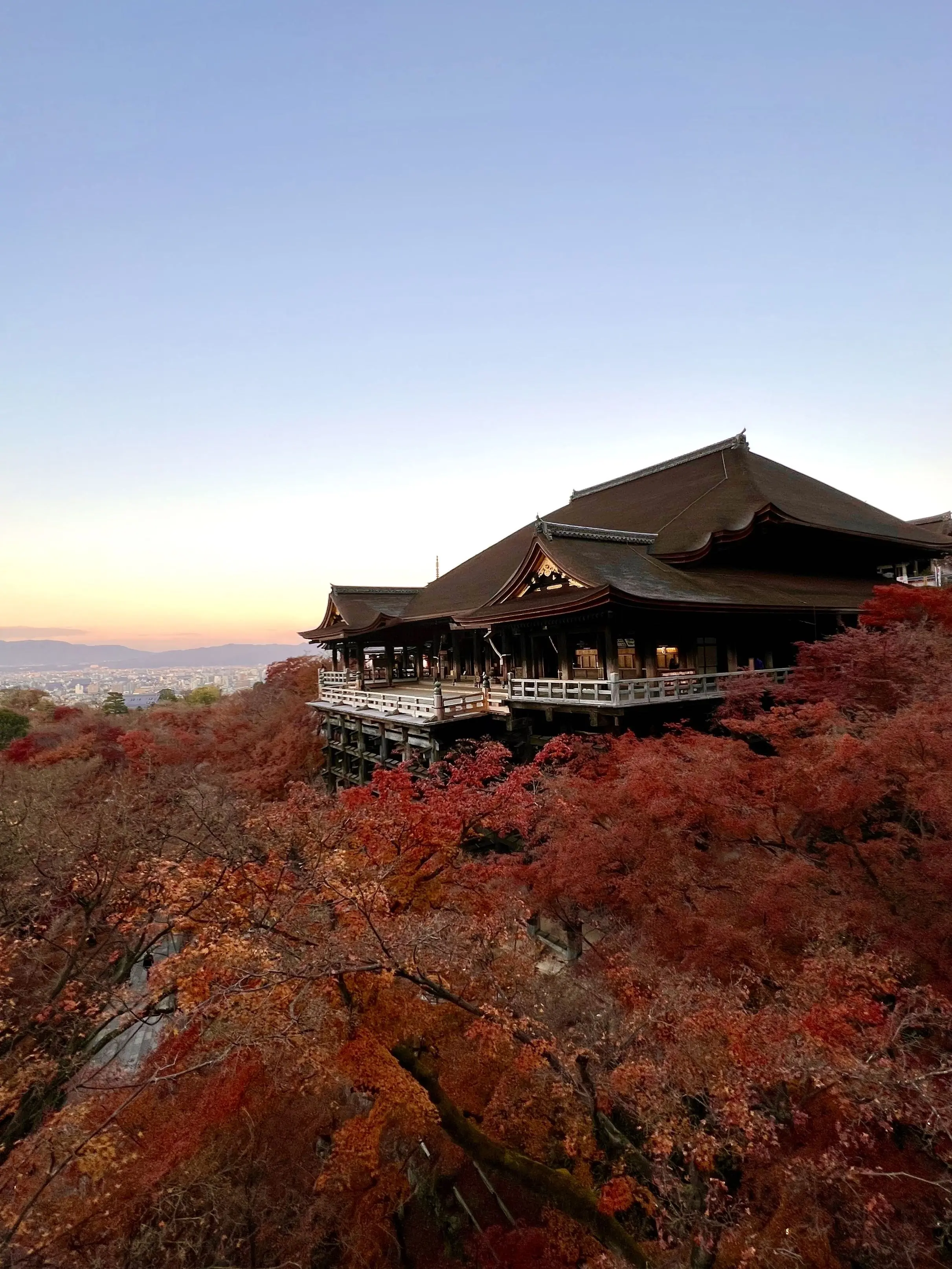 秋の景色を楽しむ♡京都の紅葉②_1_11