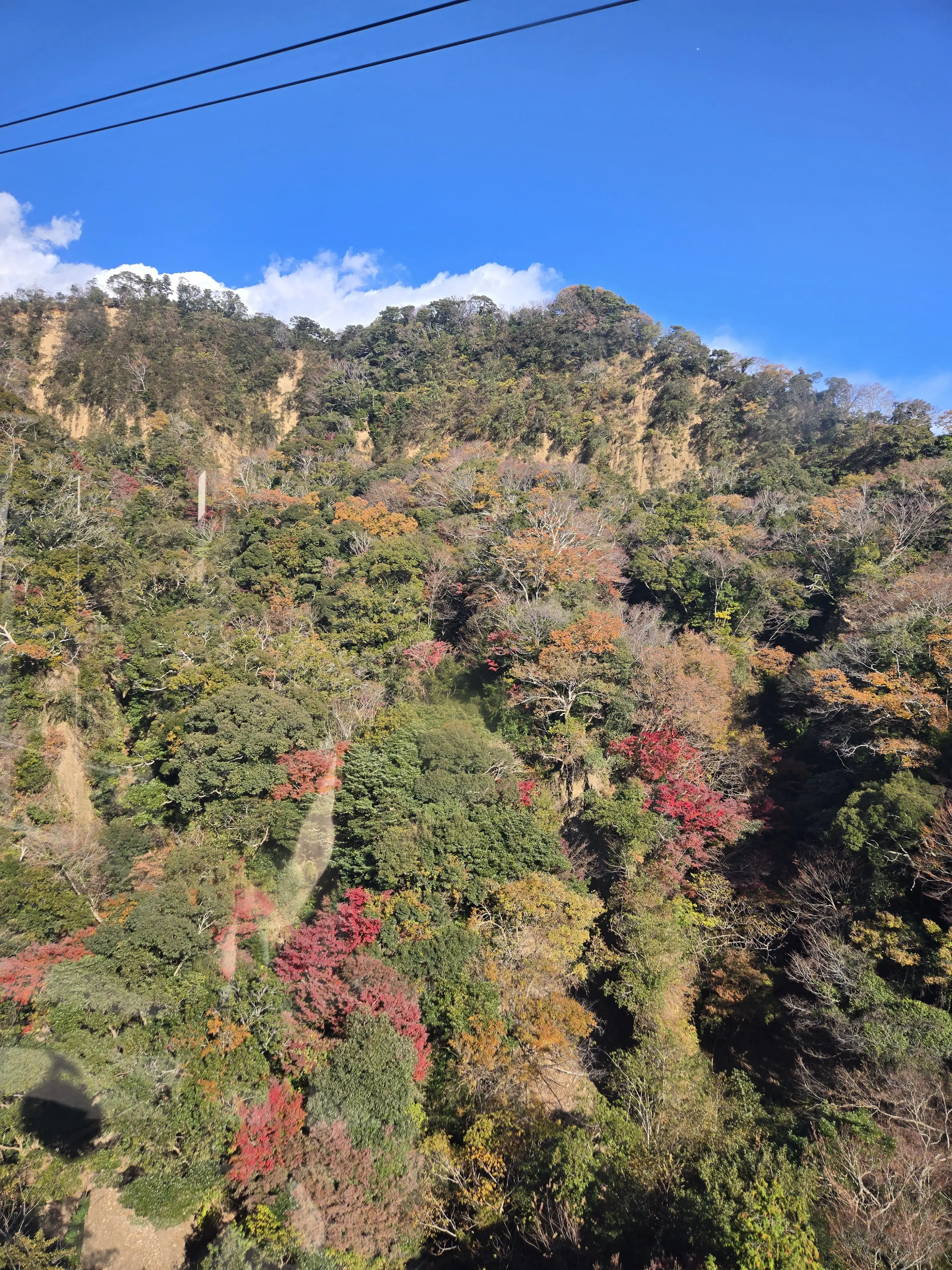 静岡といえば、富士山と○○○○_1_10