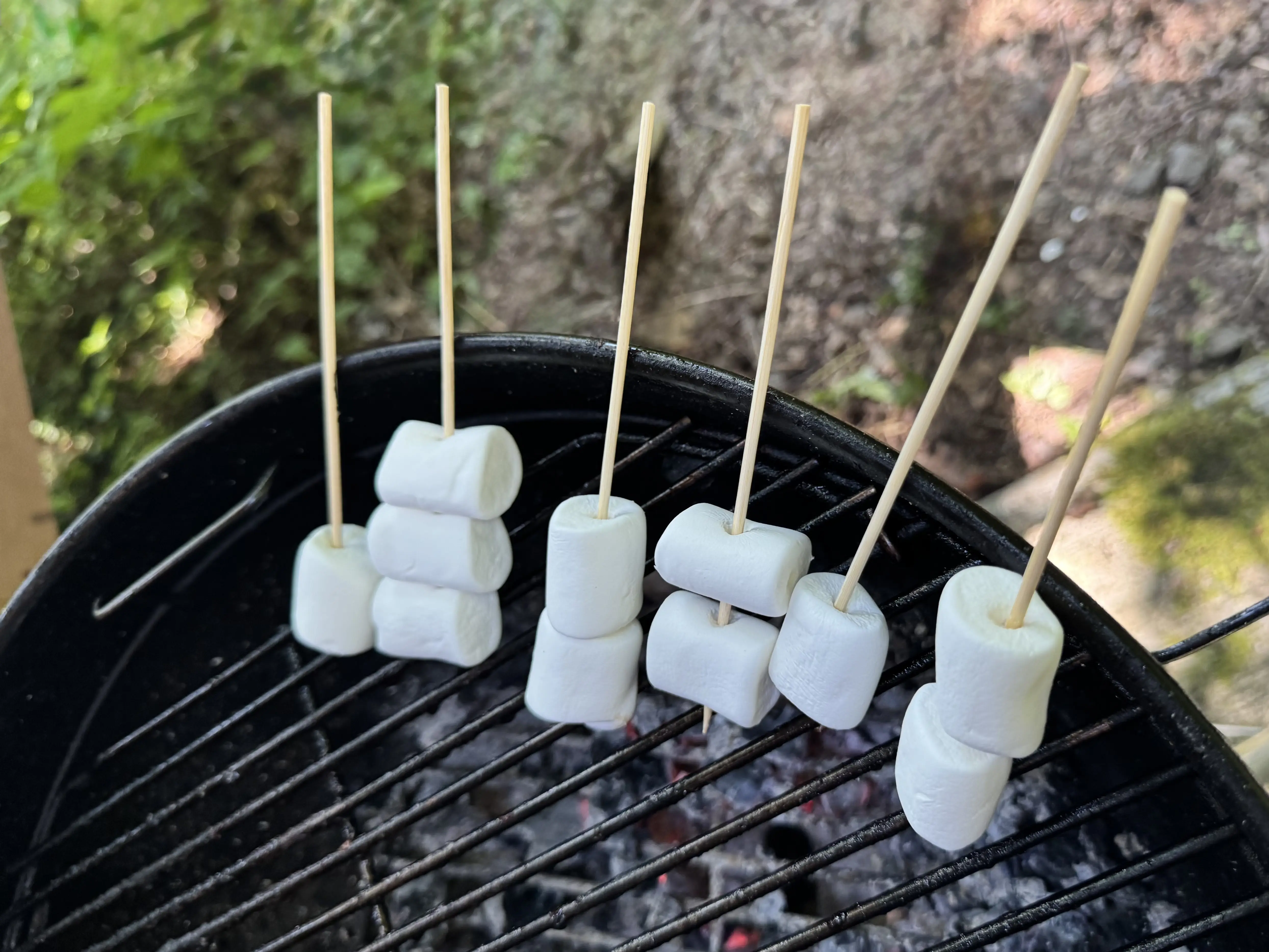 軽井沢BBQ